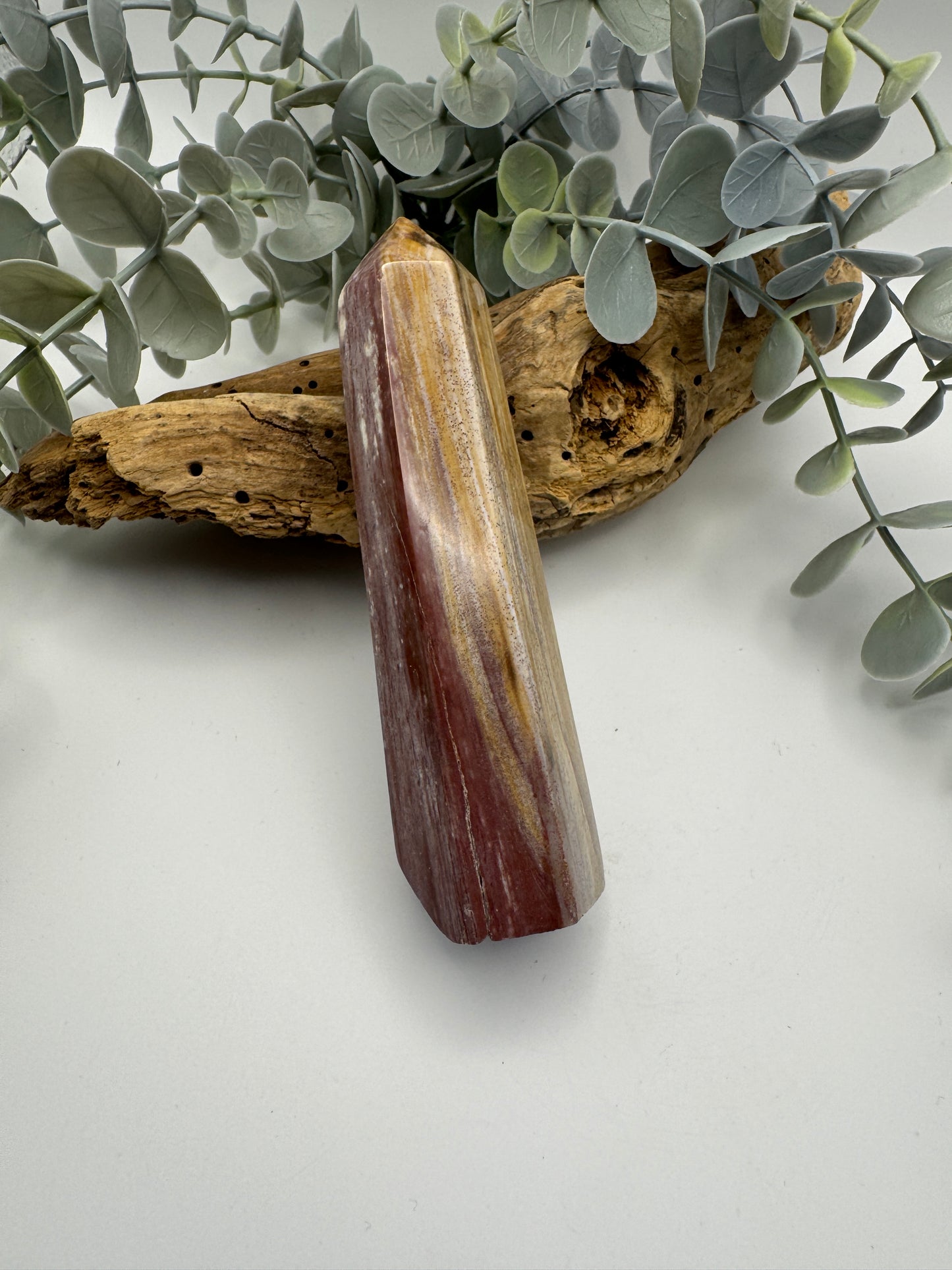 Petrified Wood Point