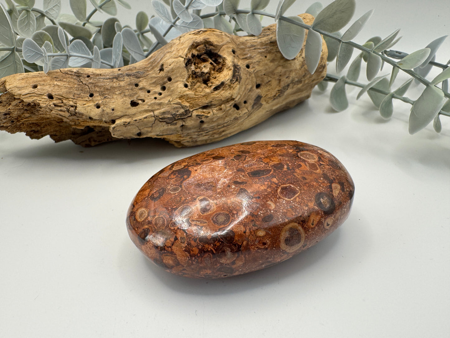 Leopard Skin Jasper Palm