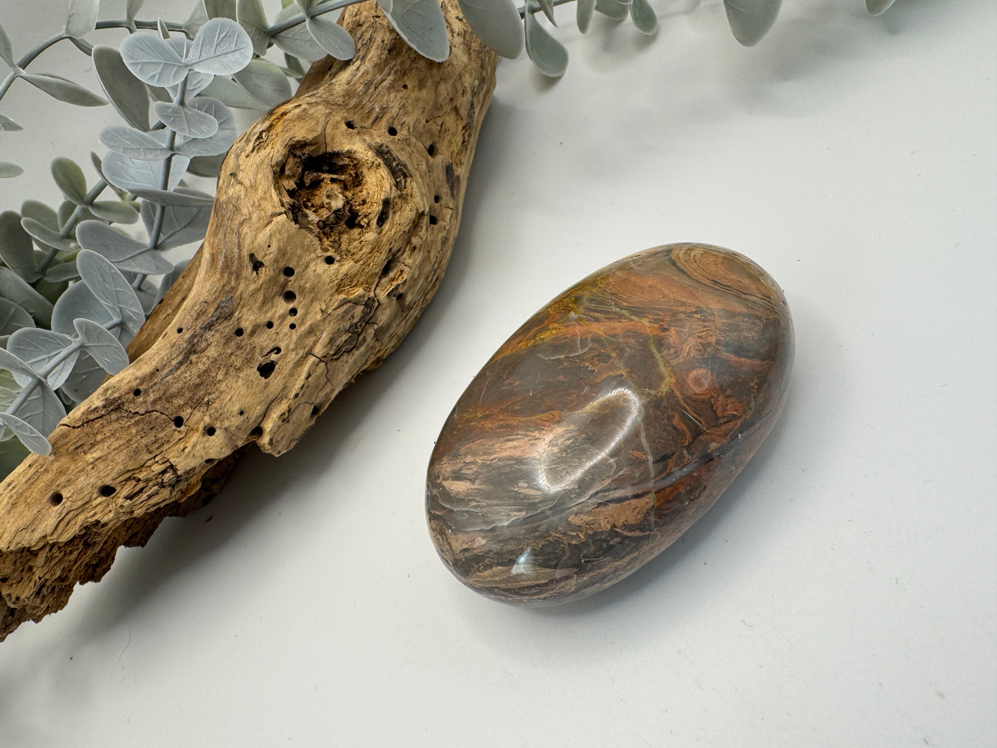 Silver Leaf Jasper Palm