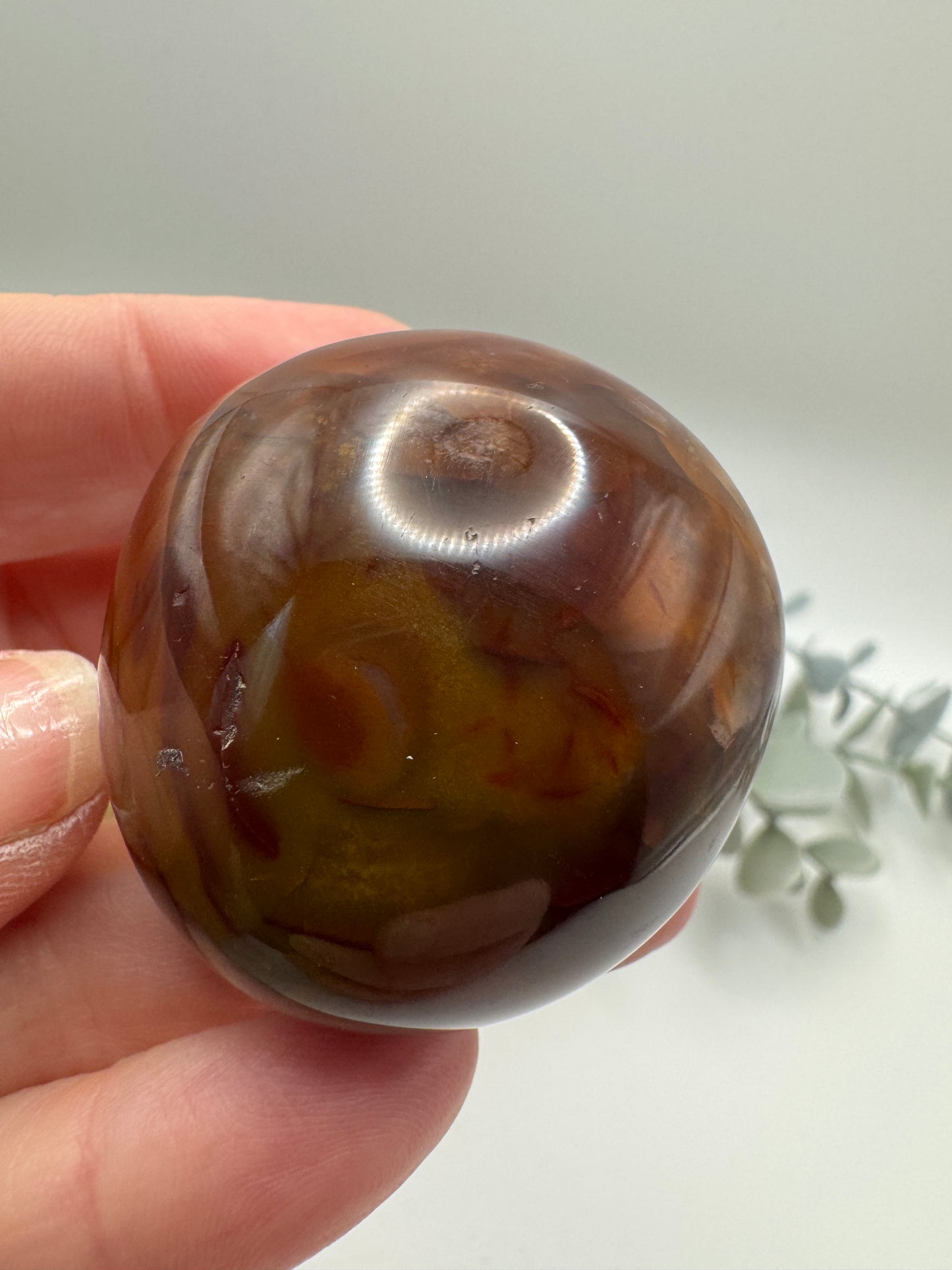 Petrified Wood Palm Stone