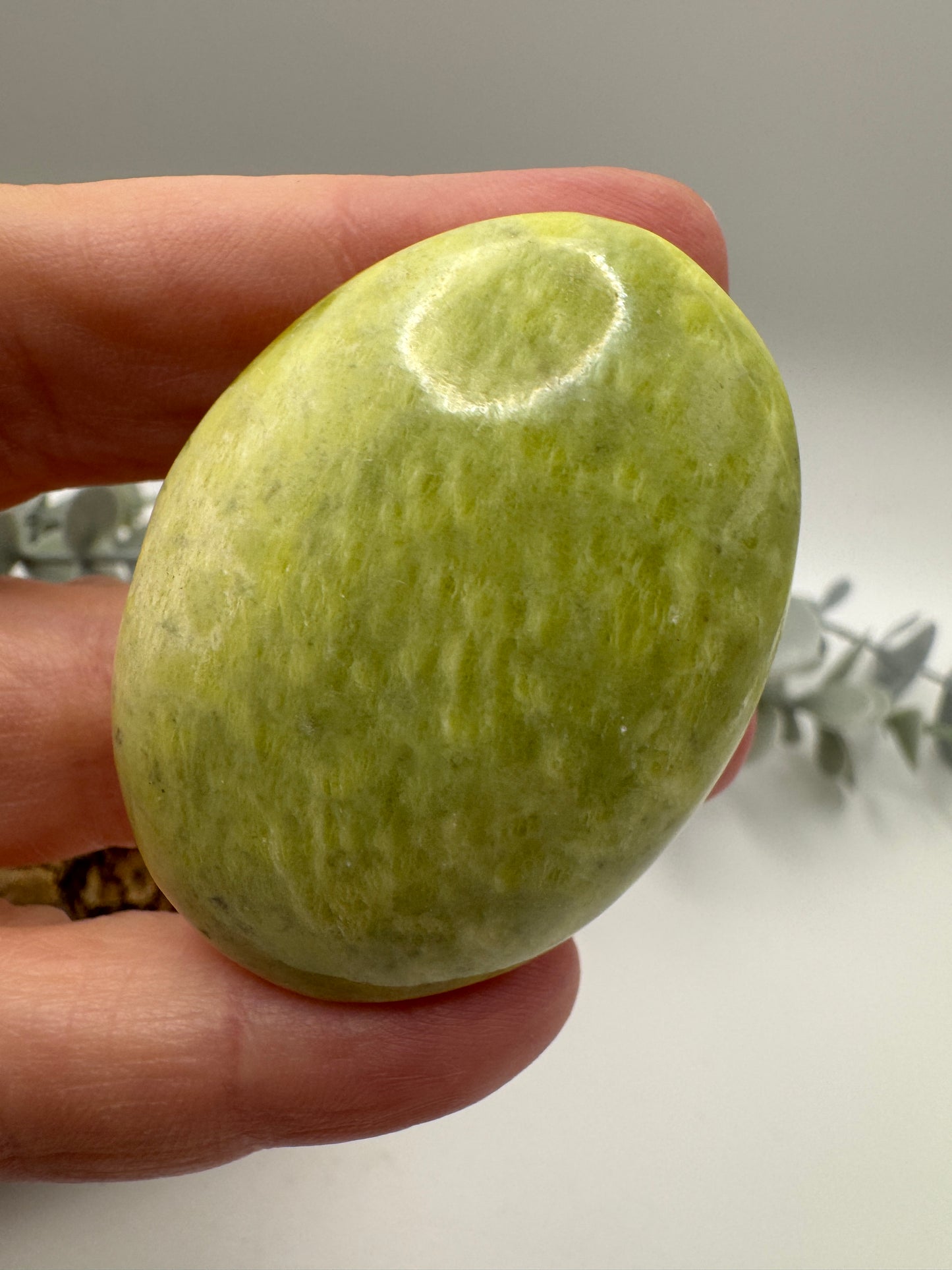 Jade Palm Stone