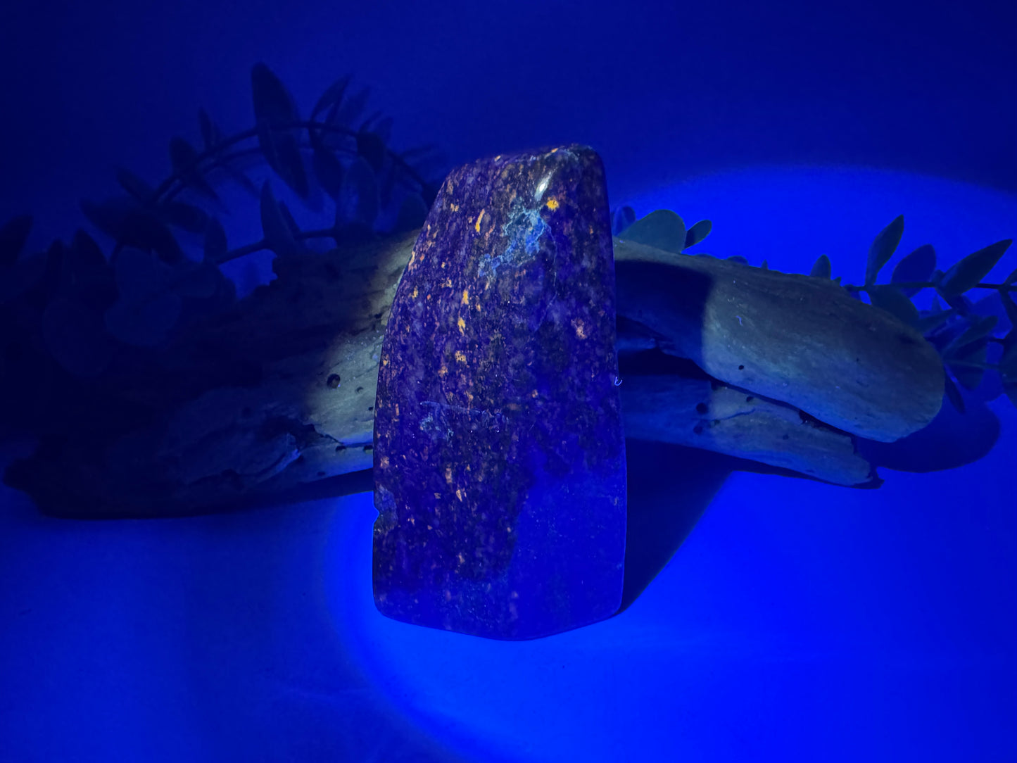 Lapis Lazuli Freeform