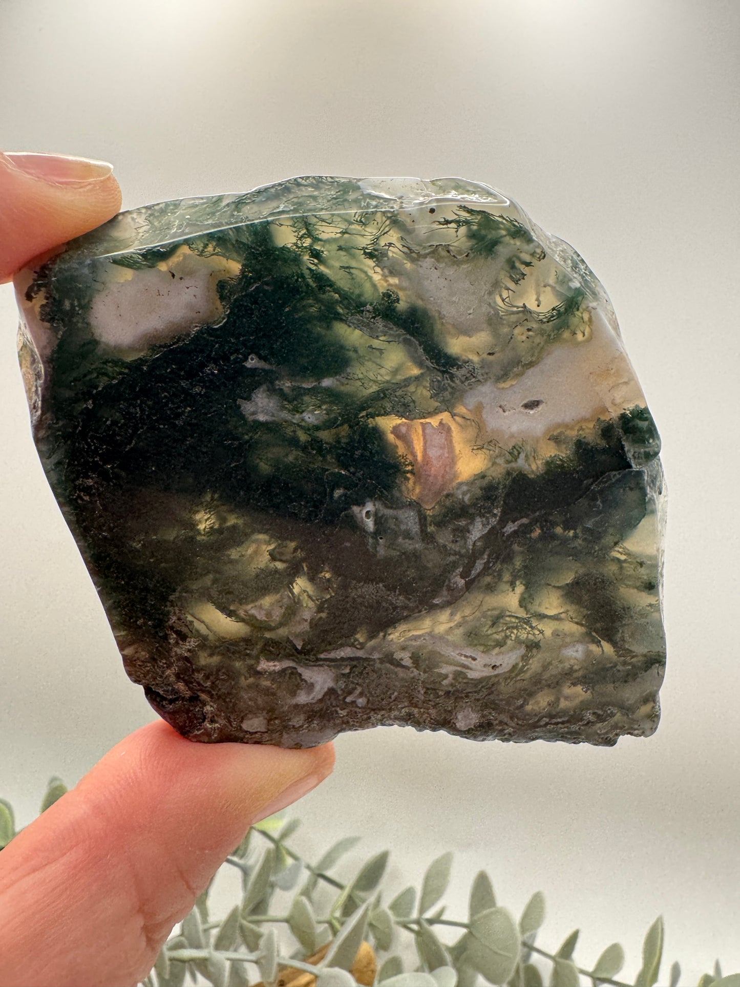 Moss Agate Slice