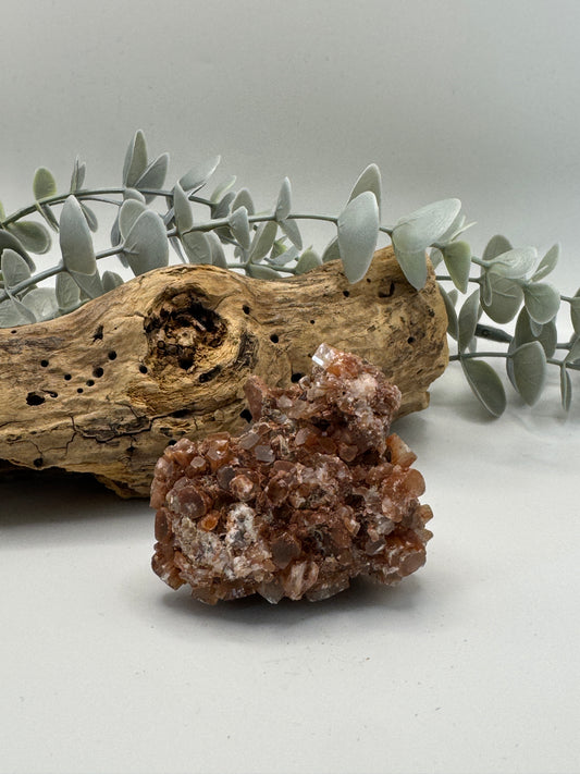Brown Aragonite Raw