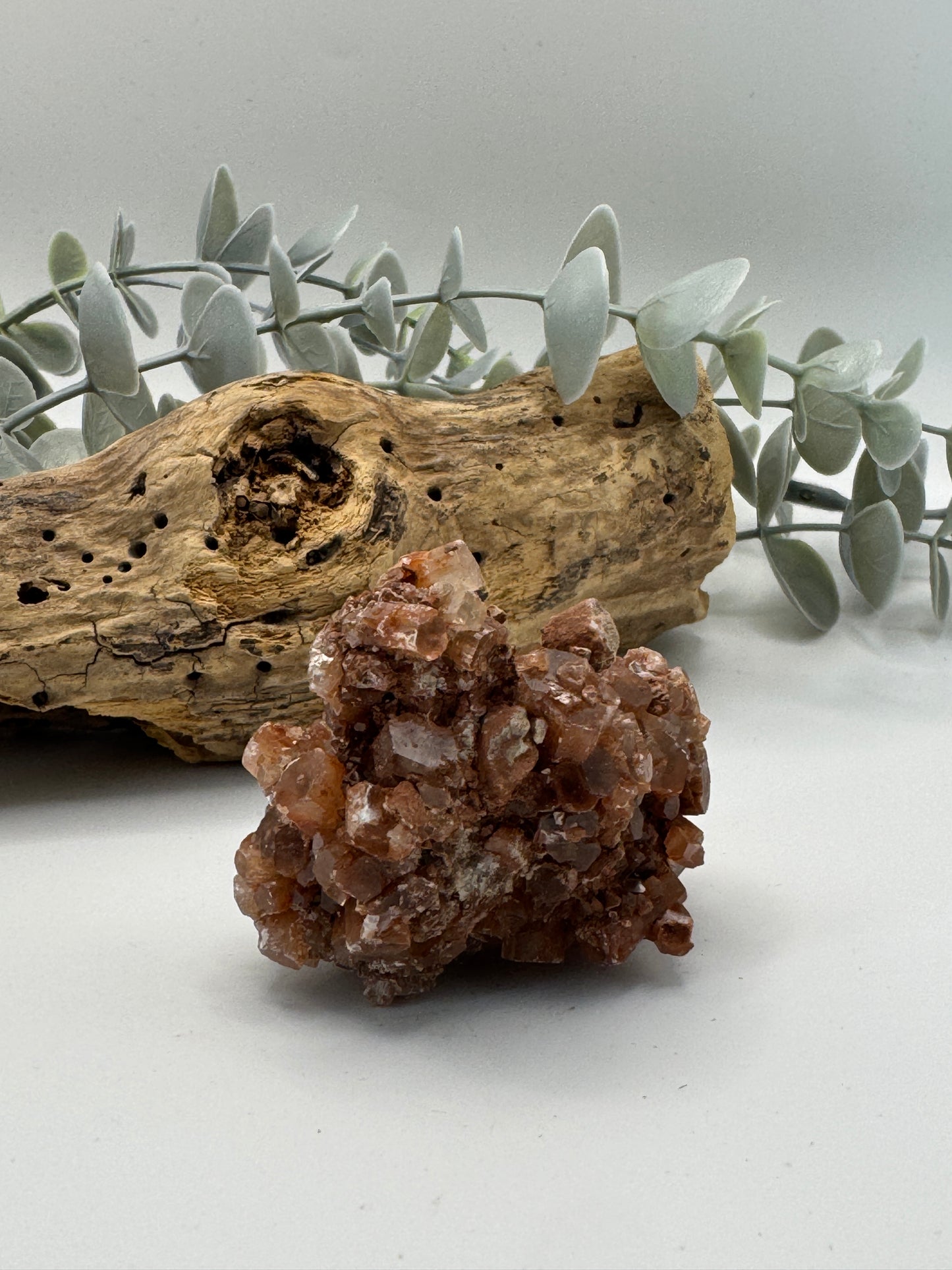 Brown Aragonite Raw