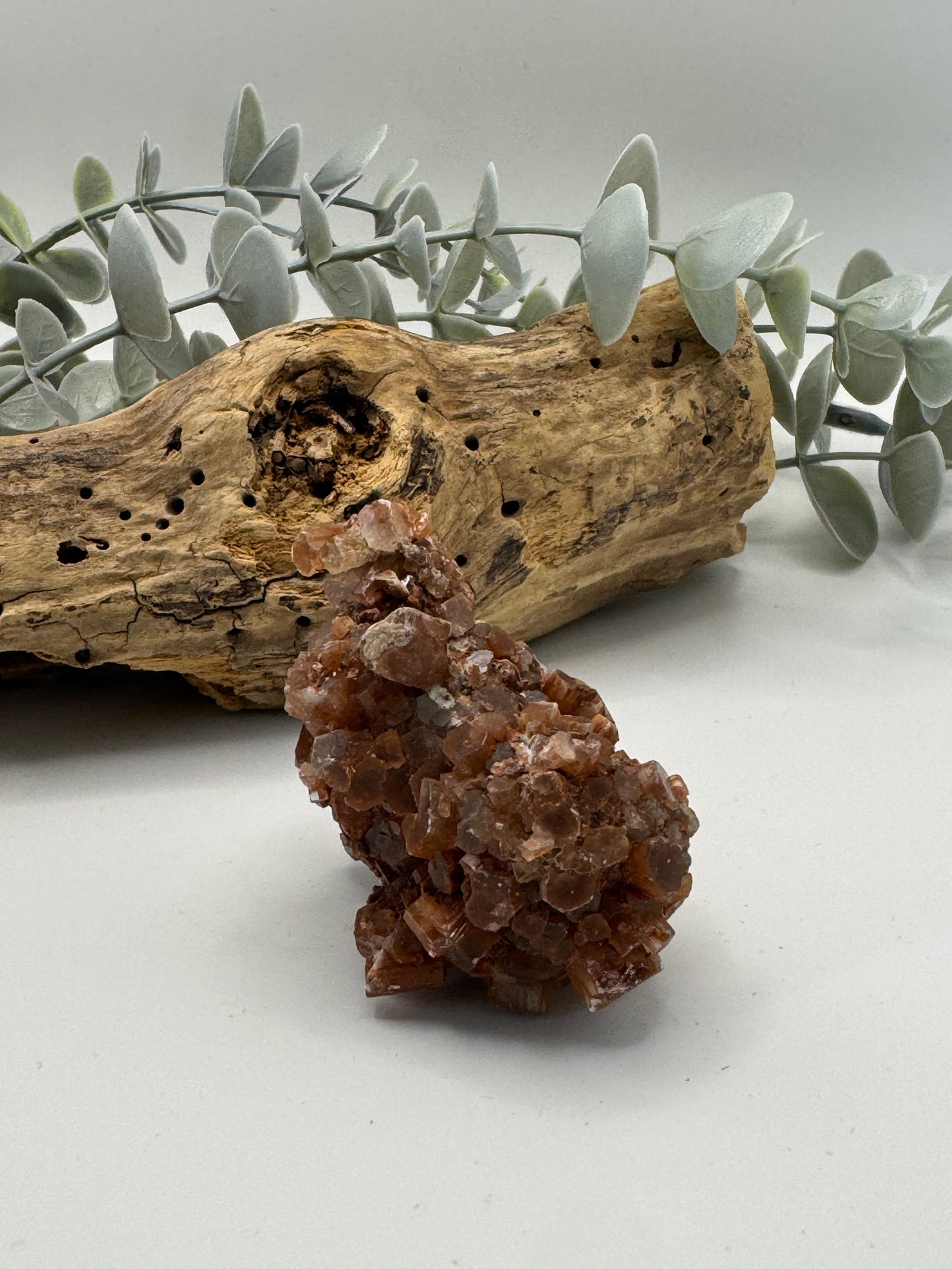 Brown Aragonite Raw