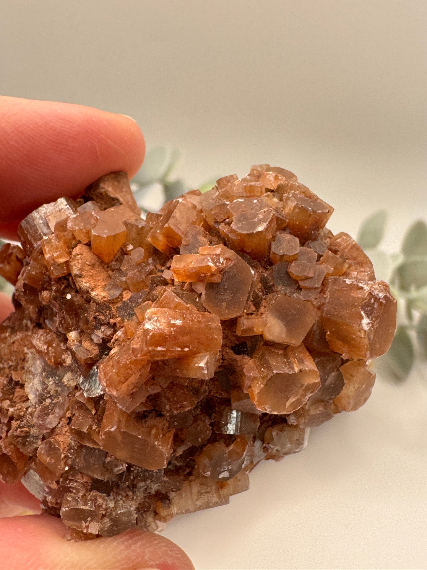 Brown Aragonite Raw