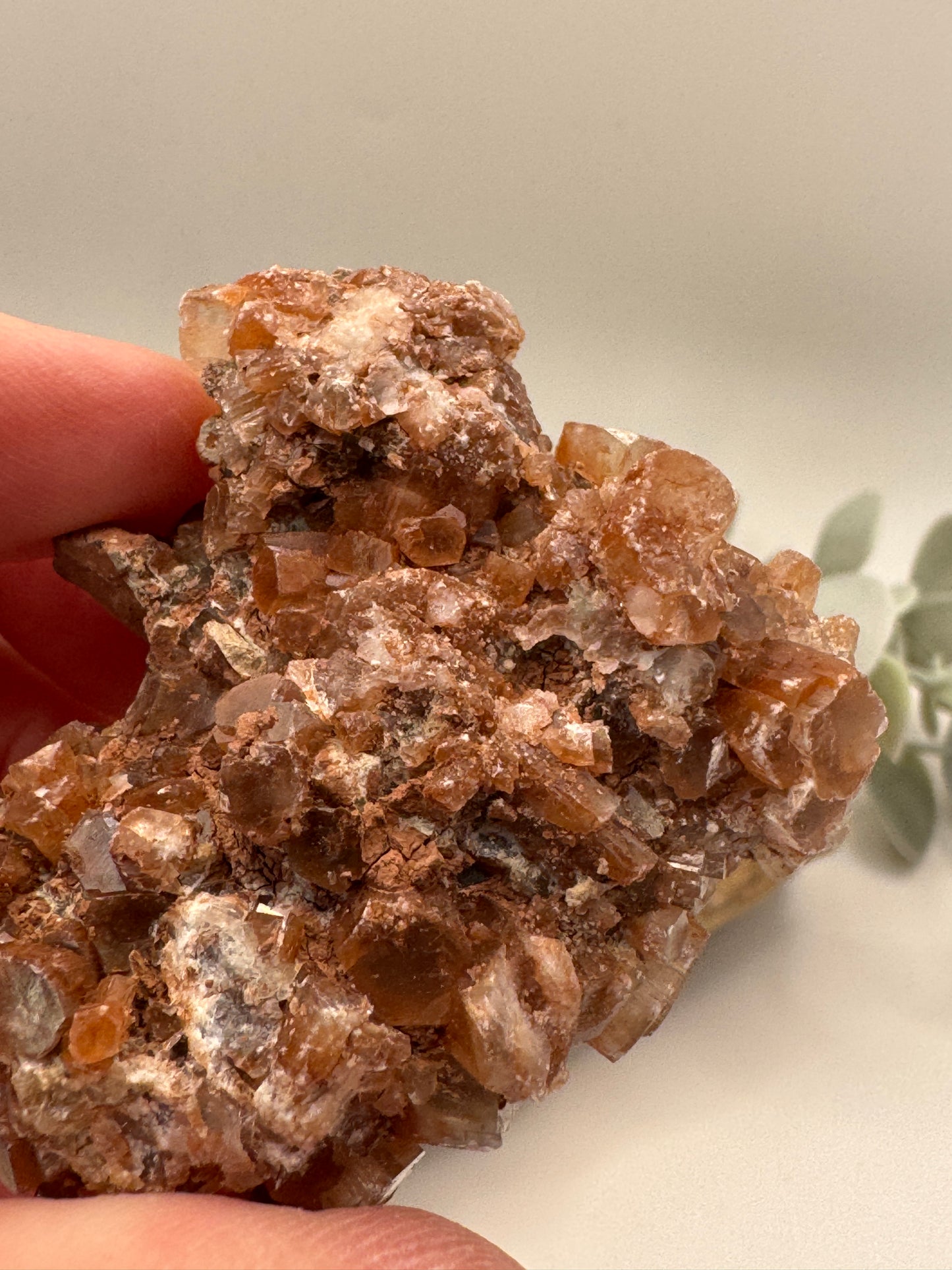 Brown Aragonite Raw