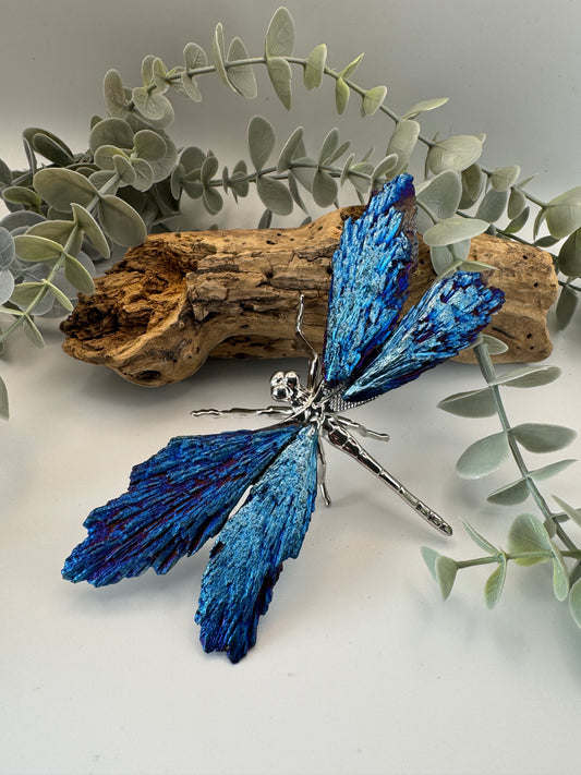 Aura Kyanite Dragonfly