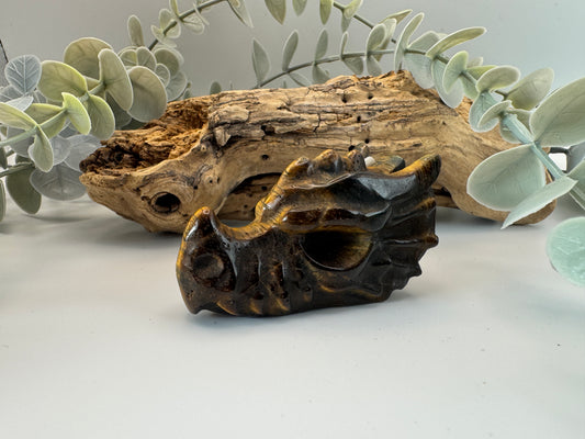 Tigers Eye Dragon Head