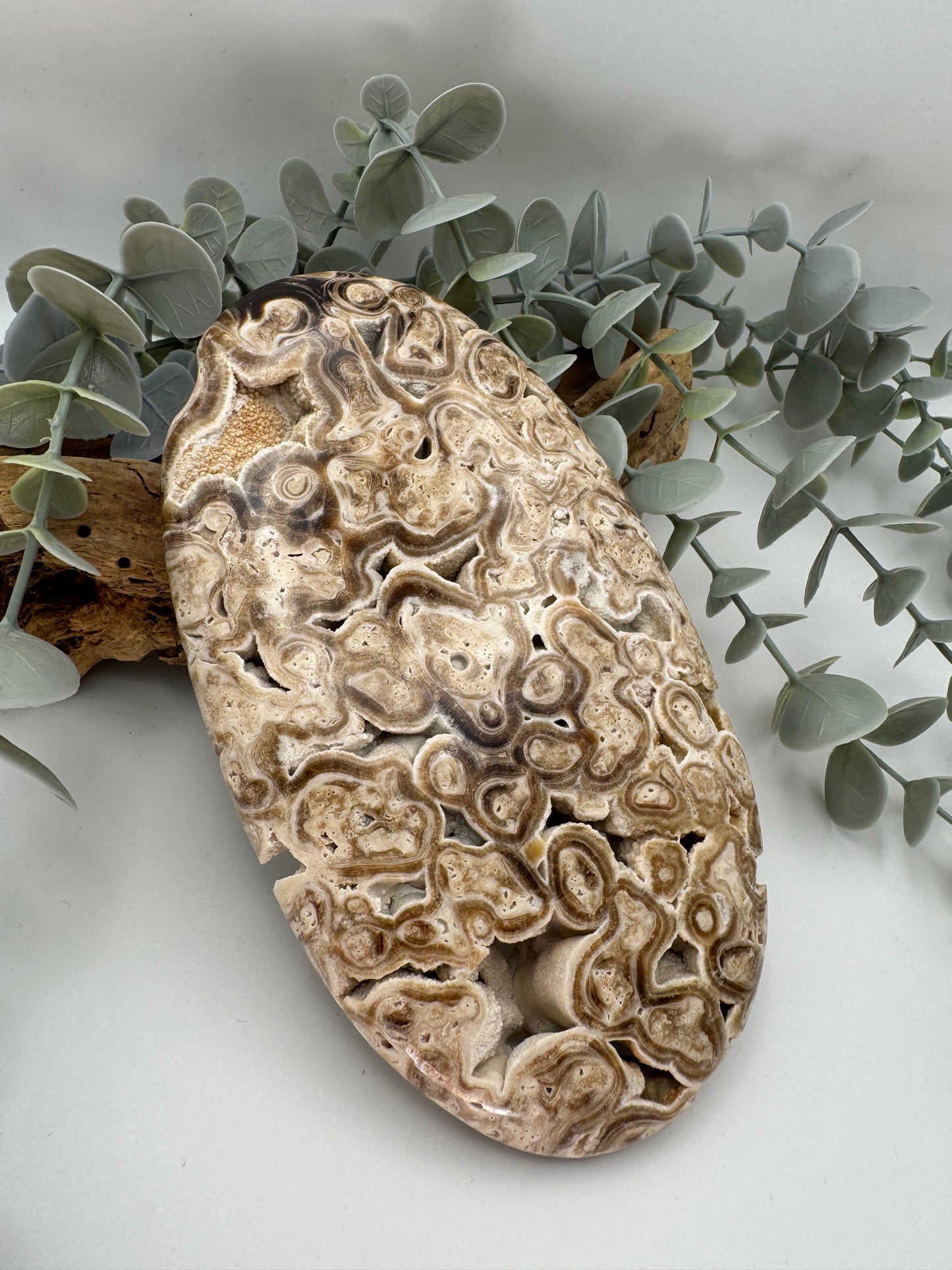 Chocolate Calcite Palm