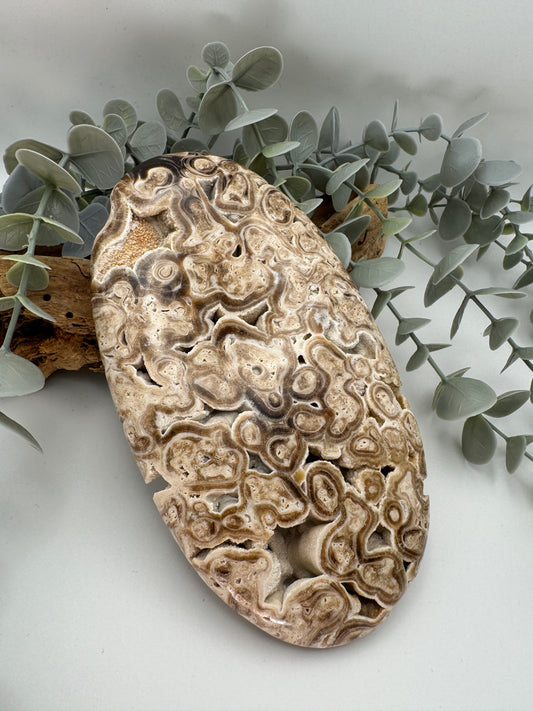 Chocolate Calcite Palm