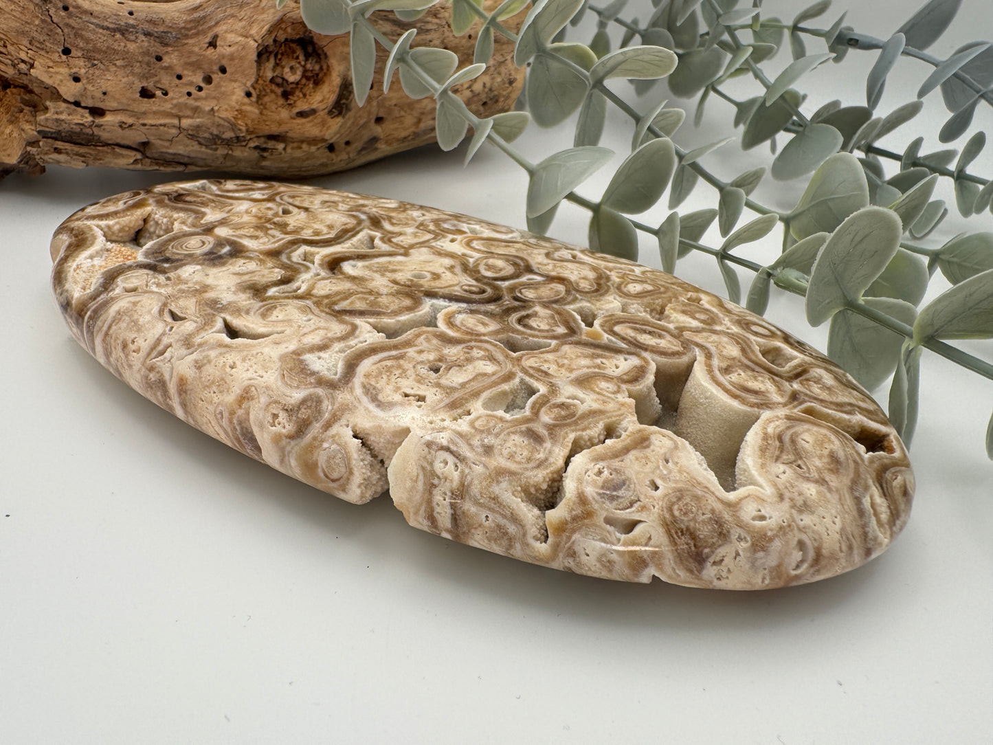 Chocolate Calcite Palm