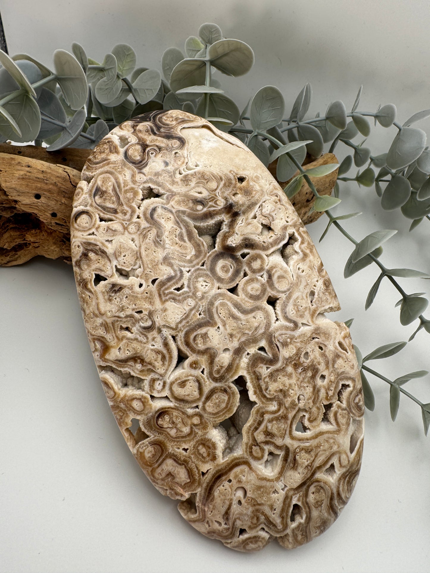 Chocolate Calcite Palm