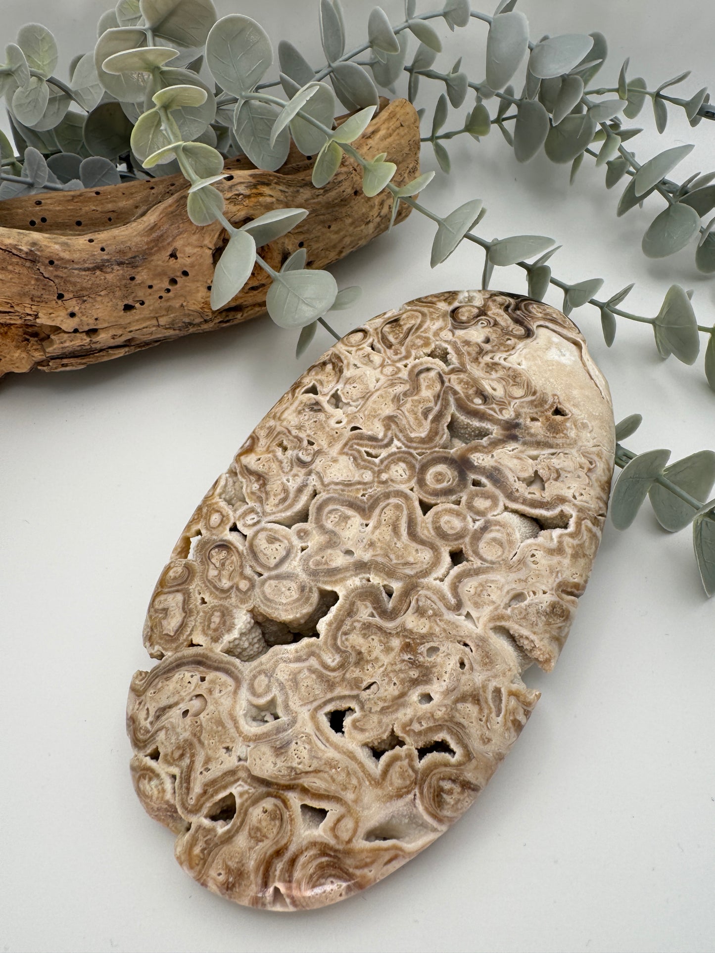 Chocolate Calcite Palm