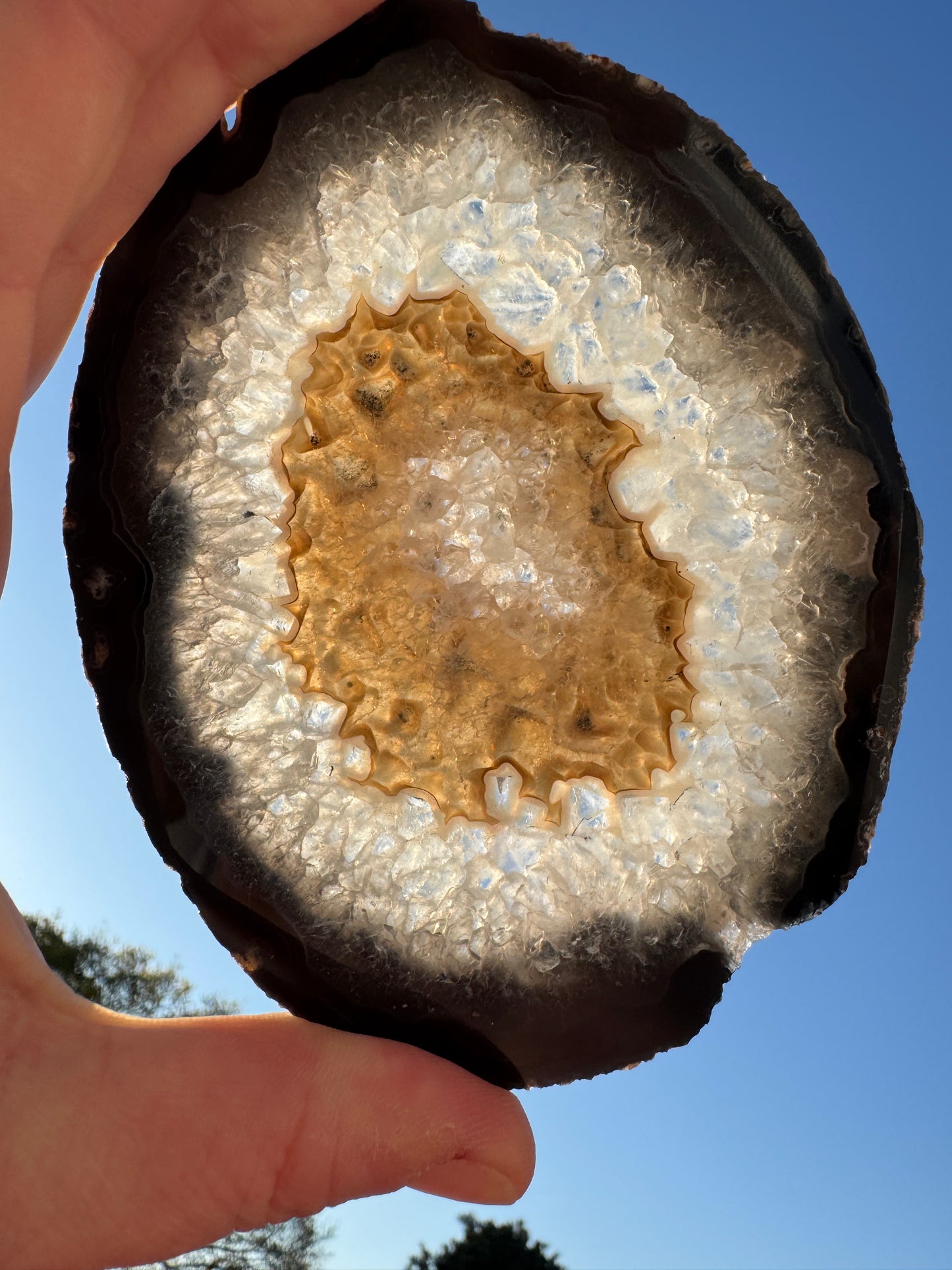 Agate Slice with Stand