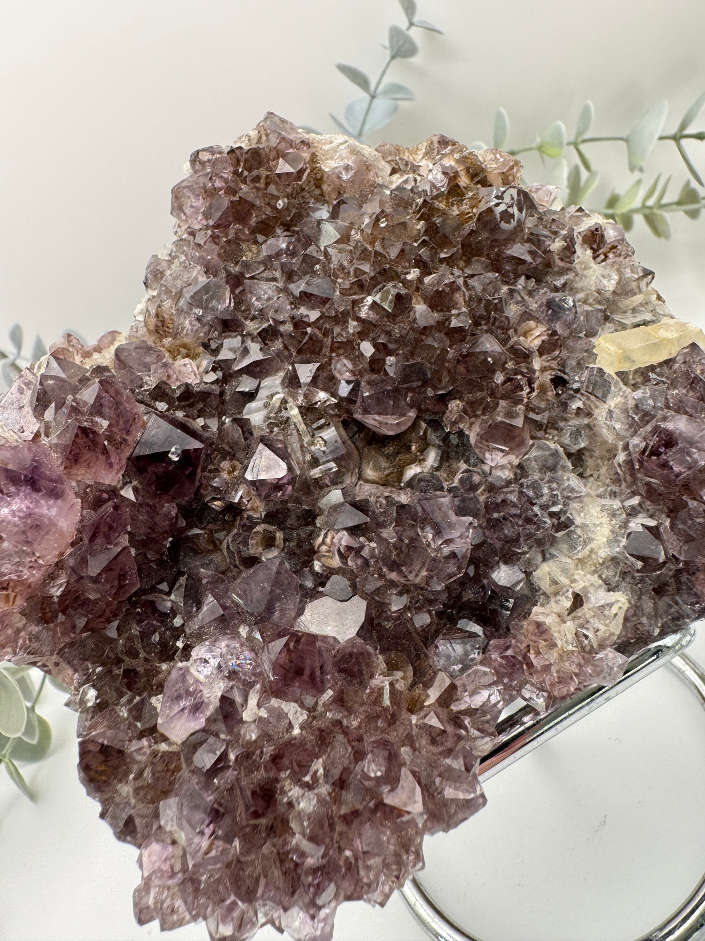 Amethyst Cluster with Stand
