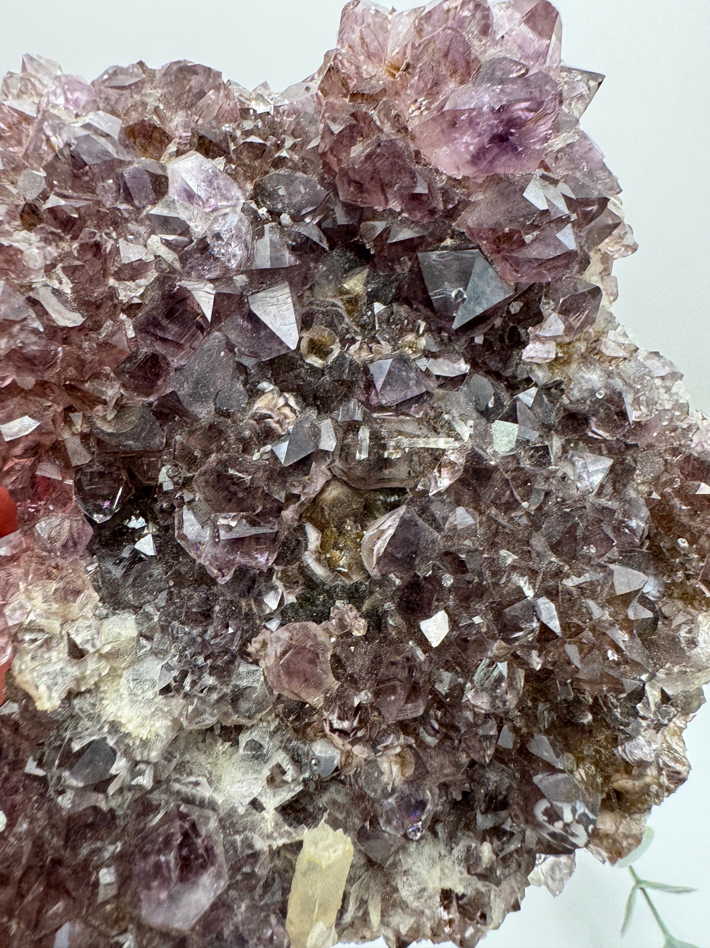 Amethyst Cluster with Stand