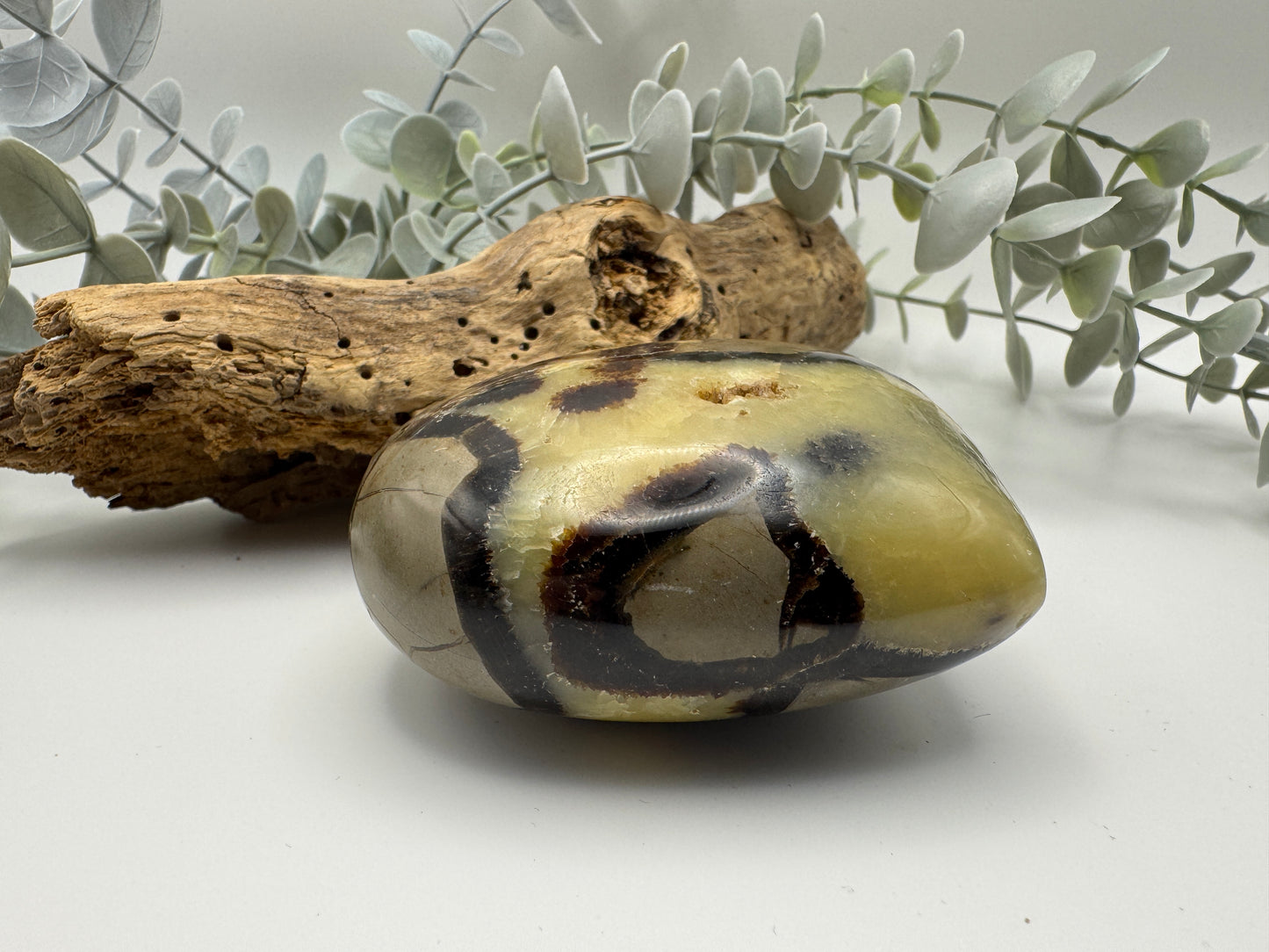 Septarian Heart