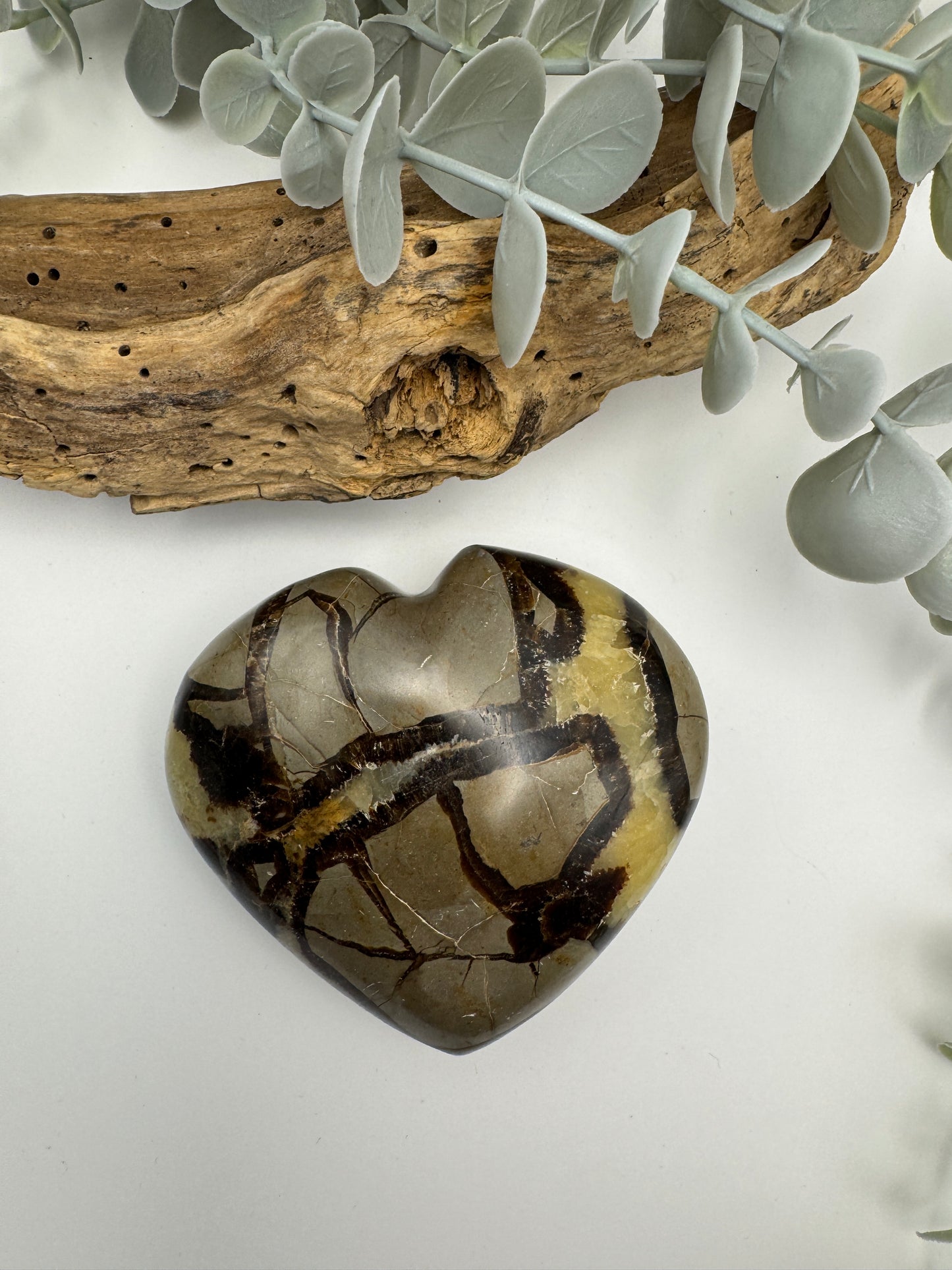 Septarian Heart