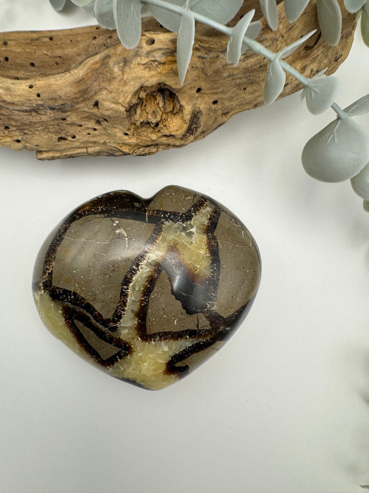 Septarian Heart