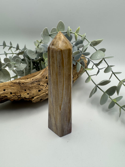 Petrified Wood Point