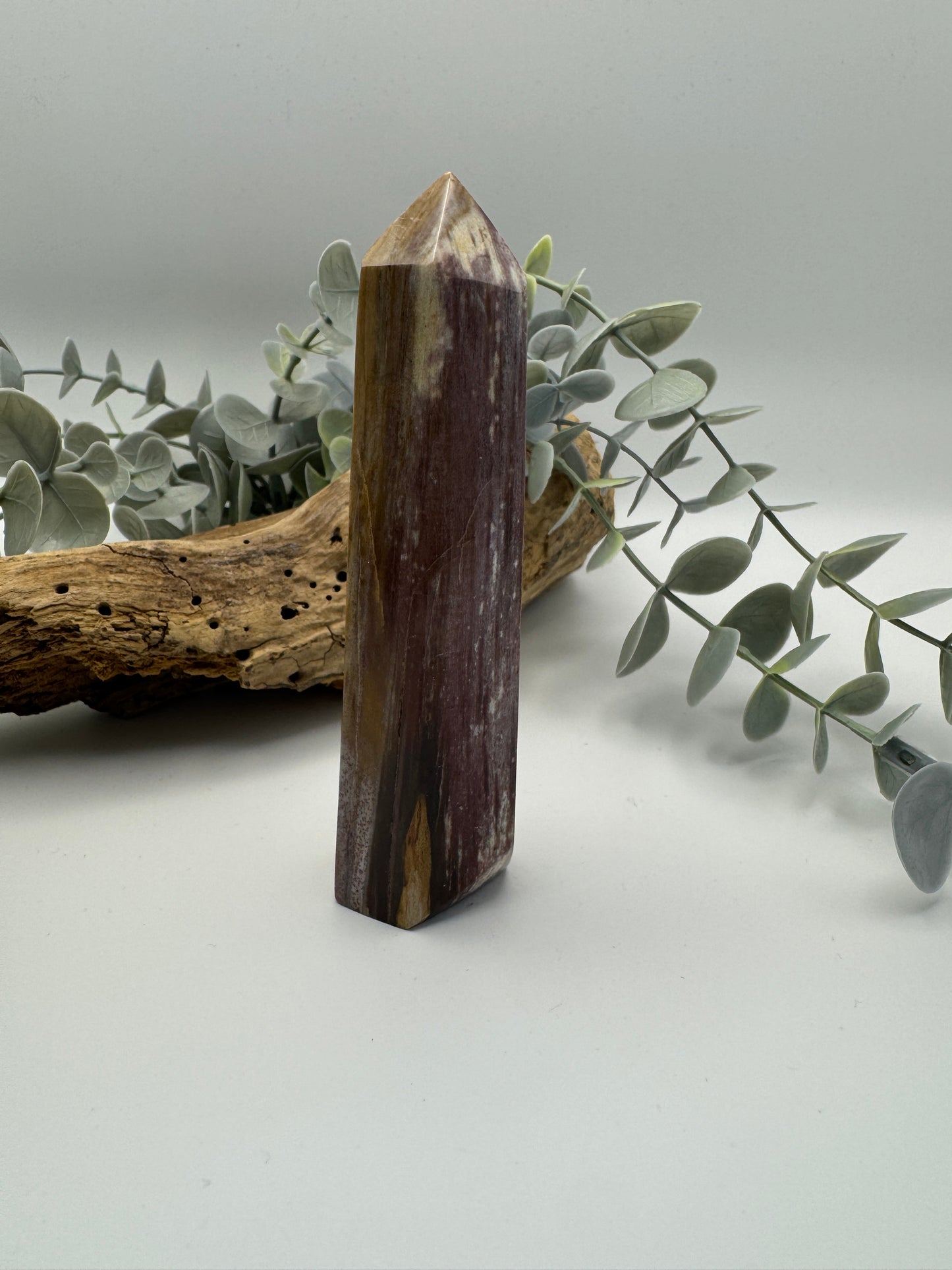Petrified Wood Point