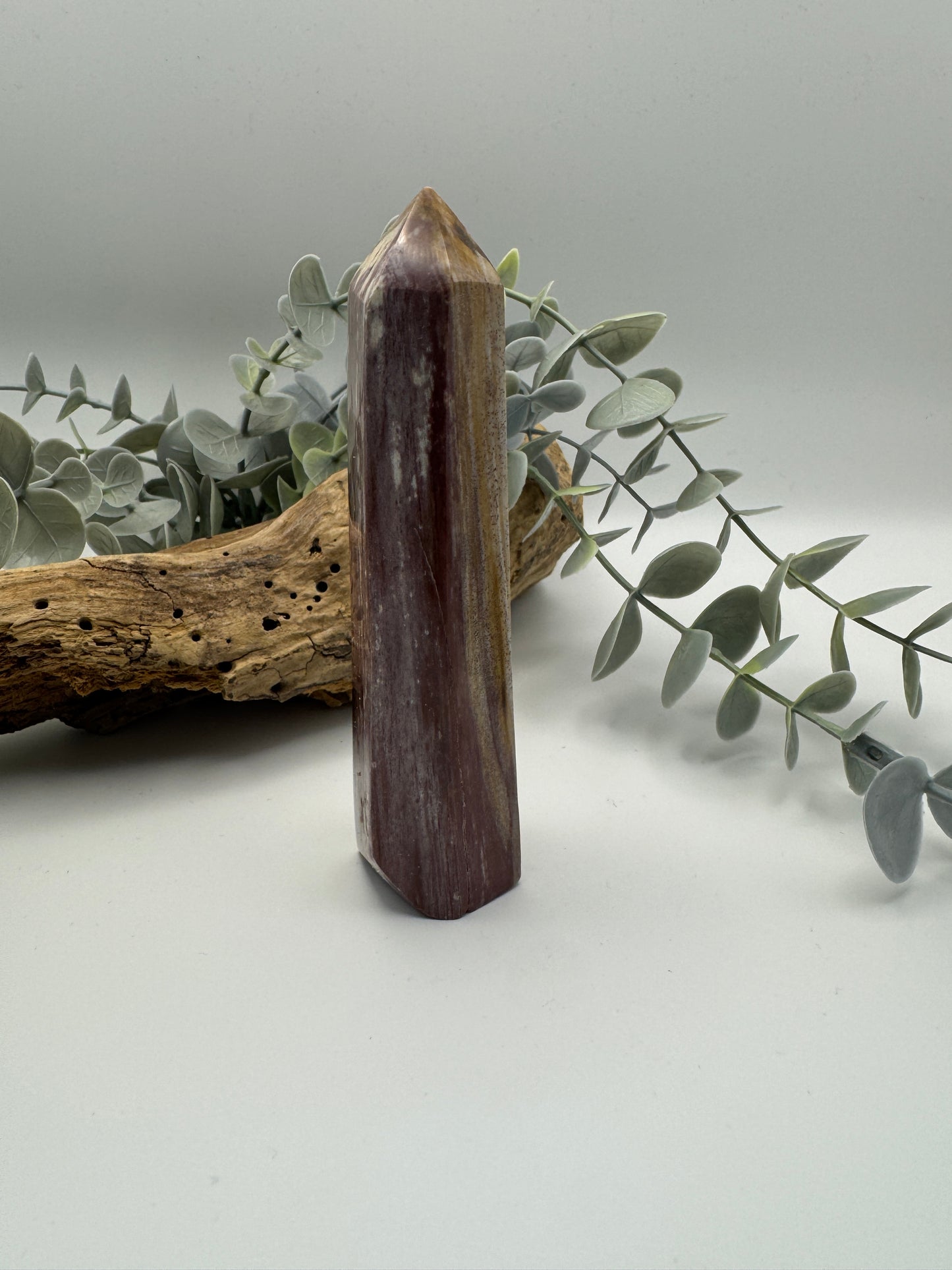 Petrified Wood Point