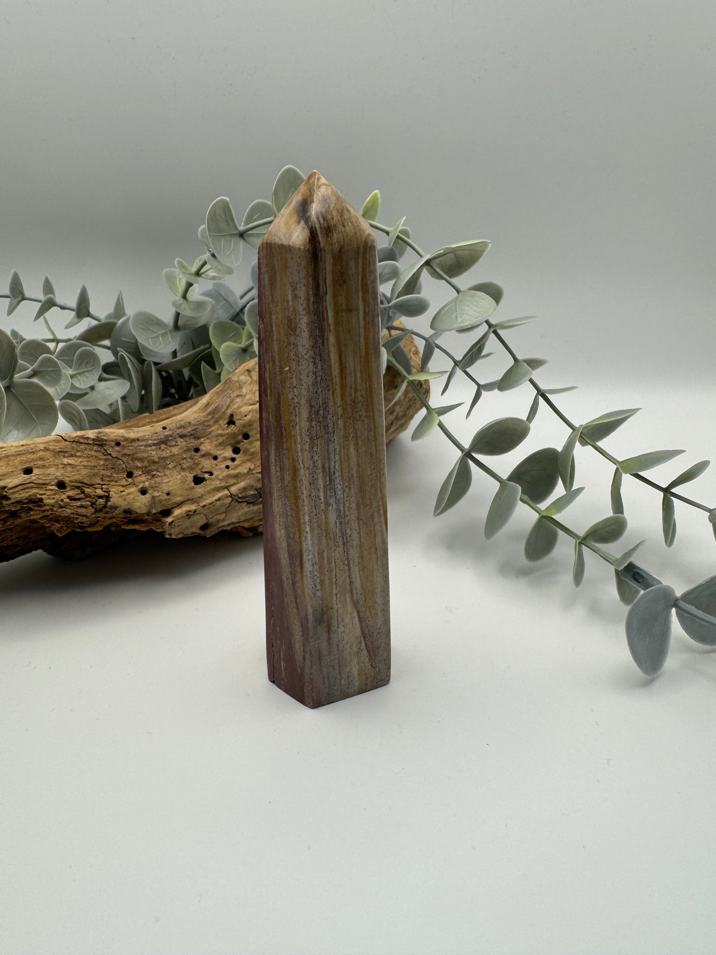 Petrified Wood Point
