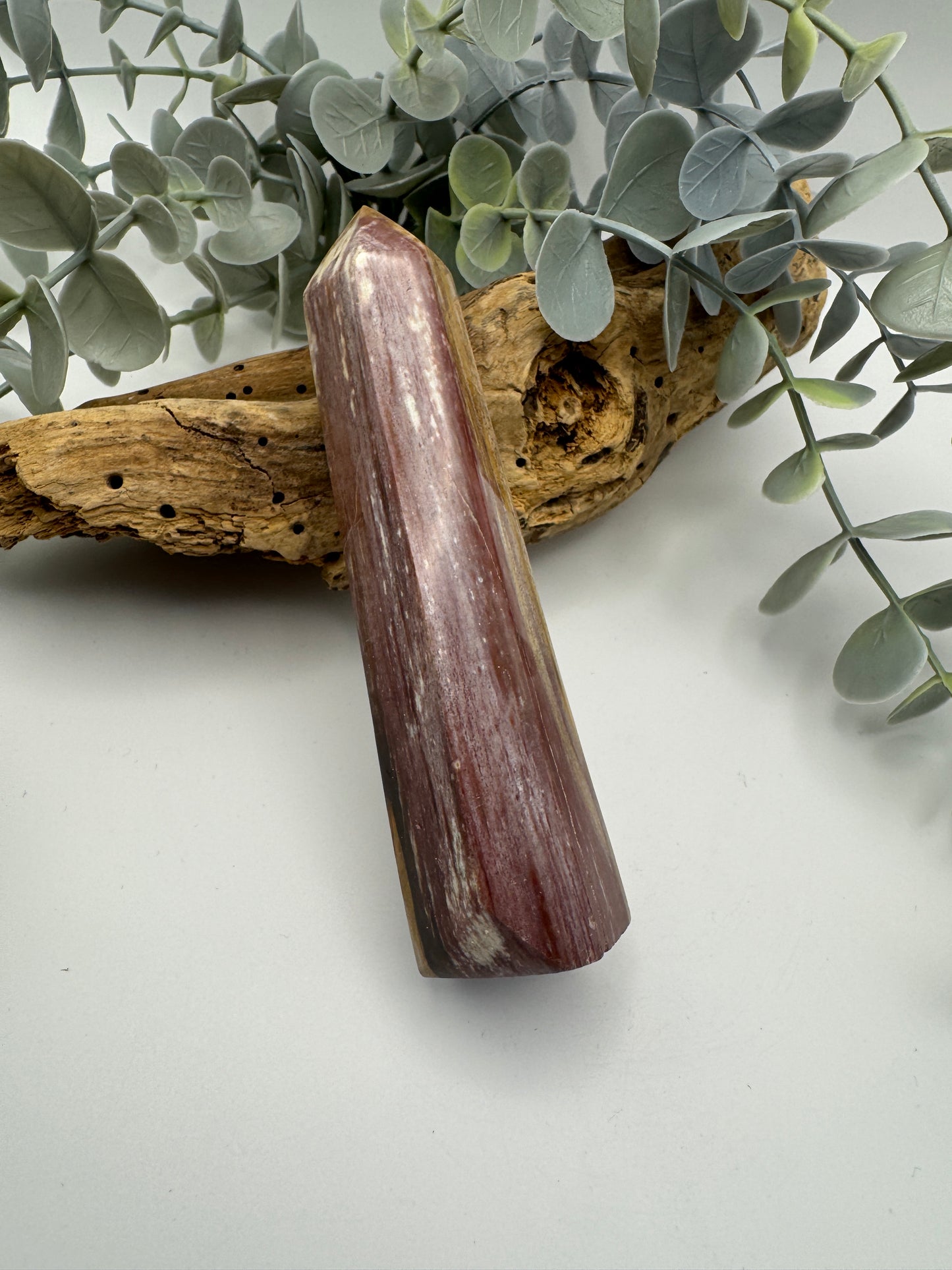 Petrified Wood Point