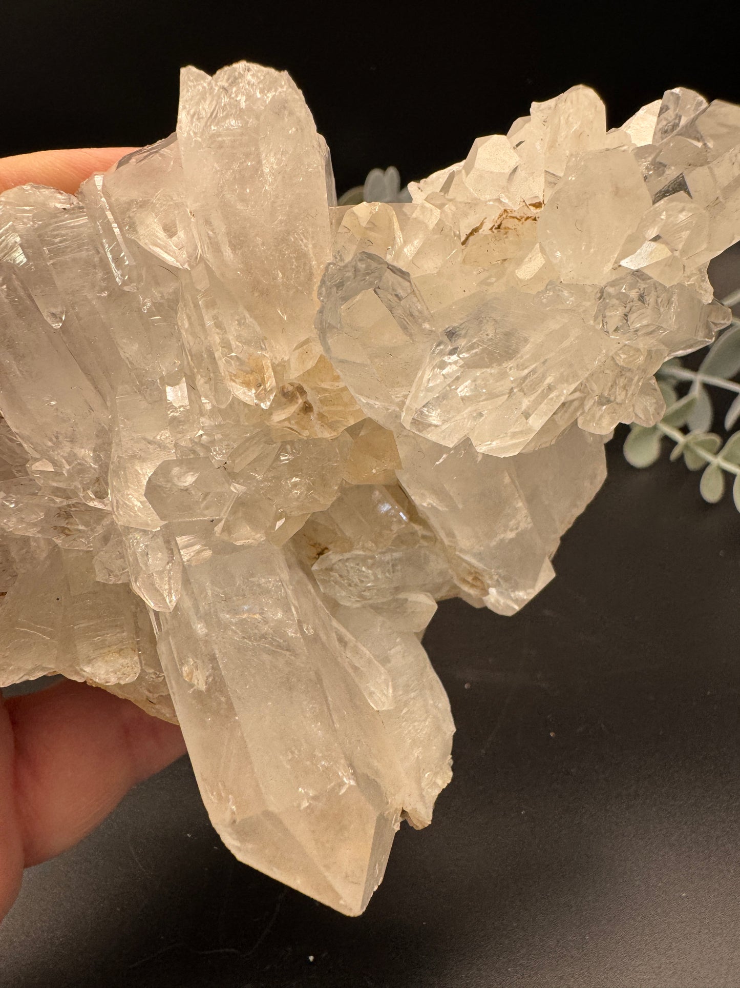 Clear Quartz Cluster