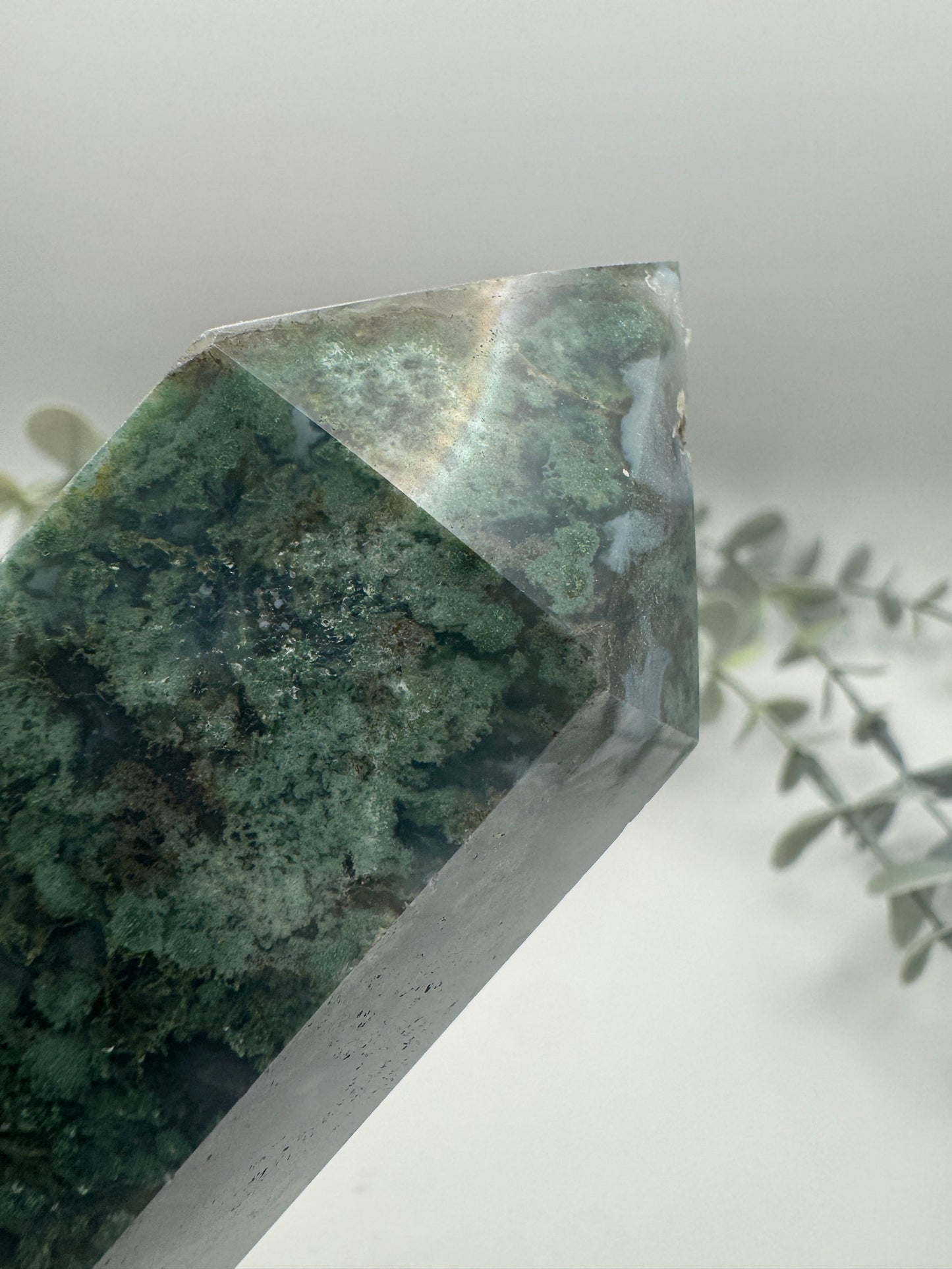 Moss Agate Point