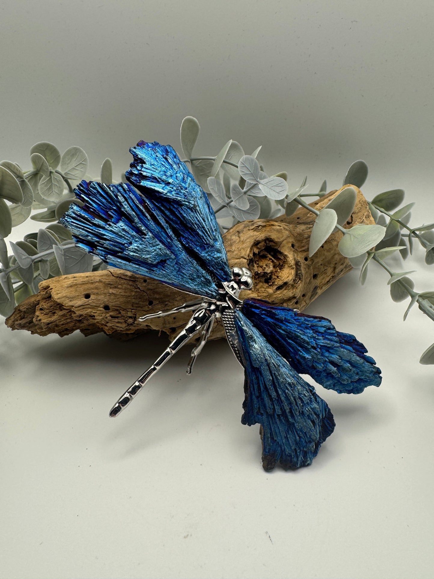 Aura Kyanite Dragonfly
