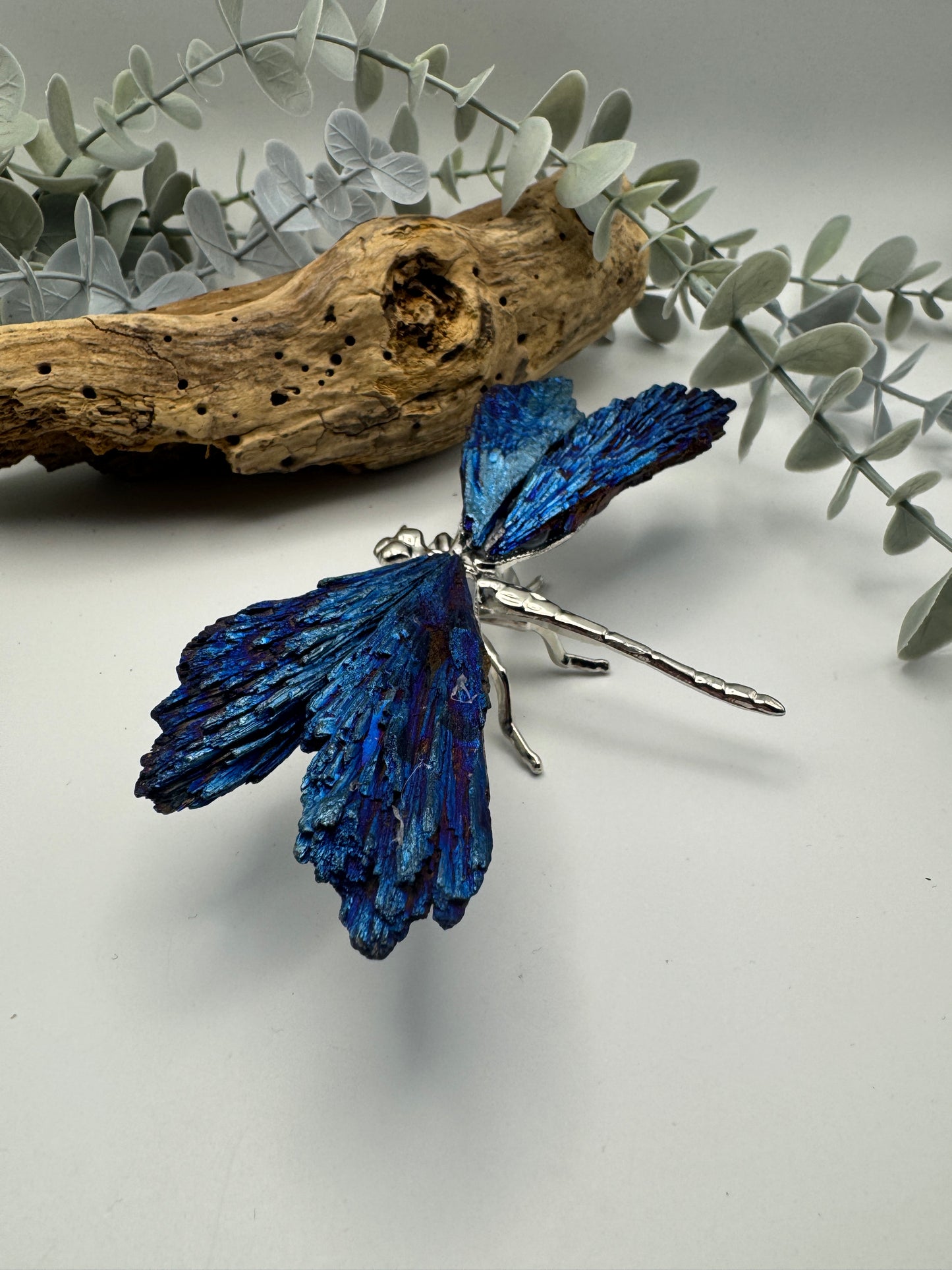Aura Kyanite Dragonfly