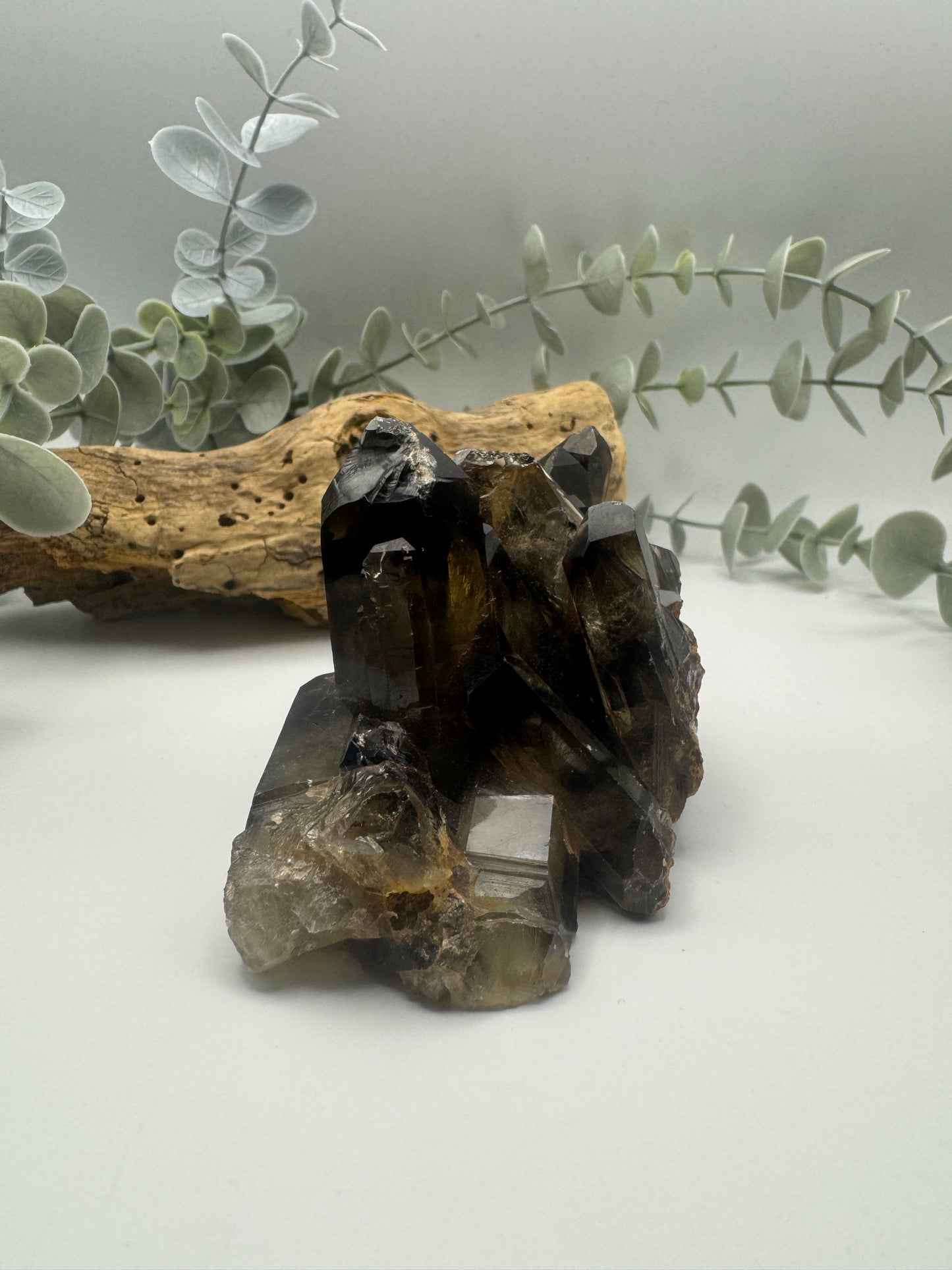 Smoky Quartz Cluster