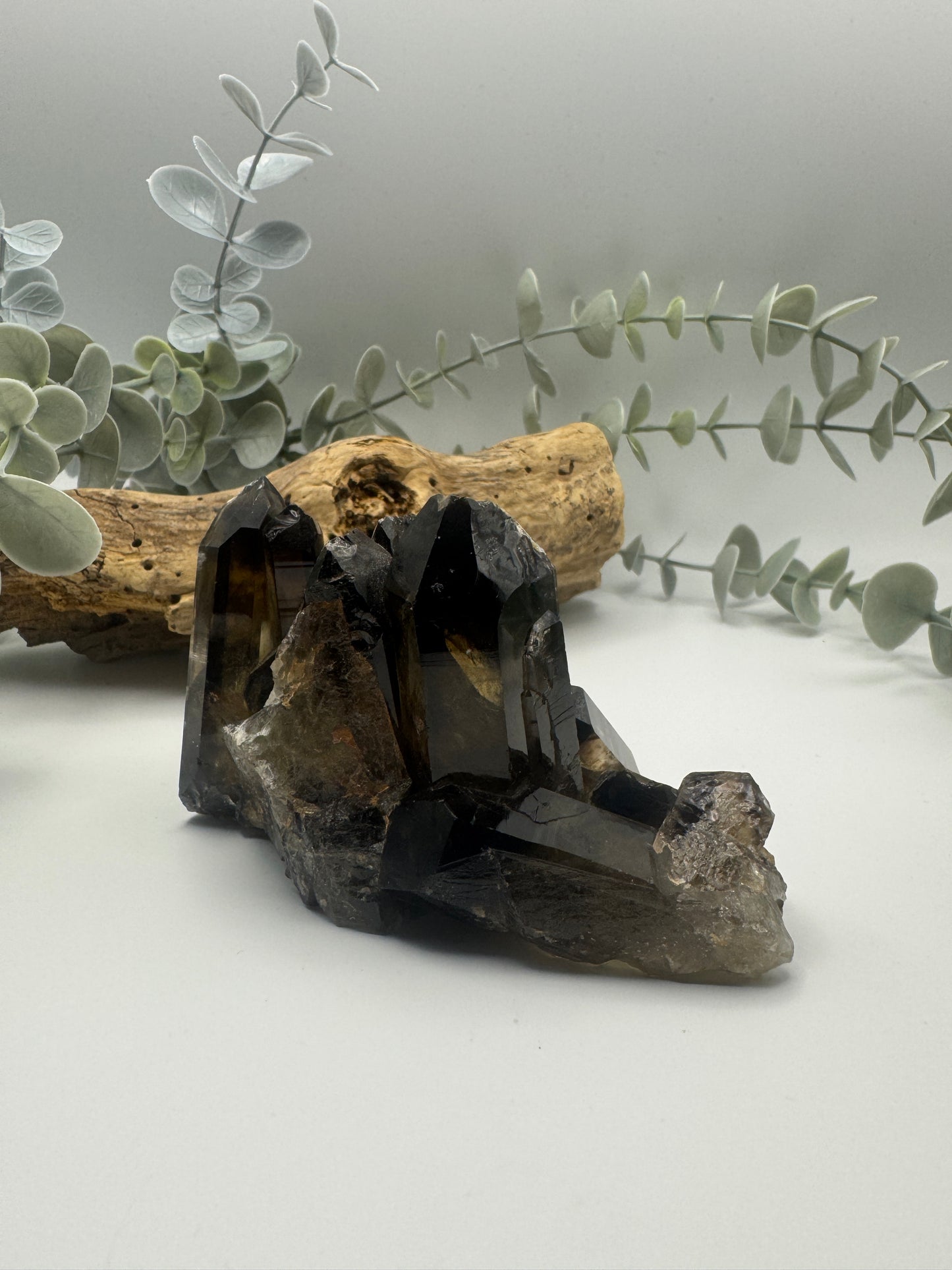 Smoky Quartz Cluster