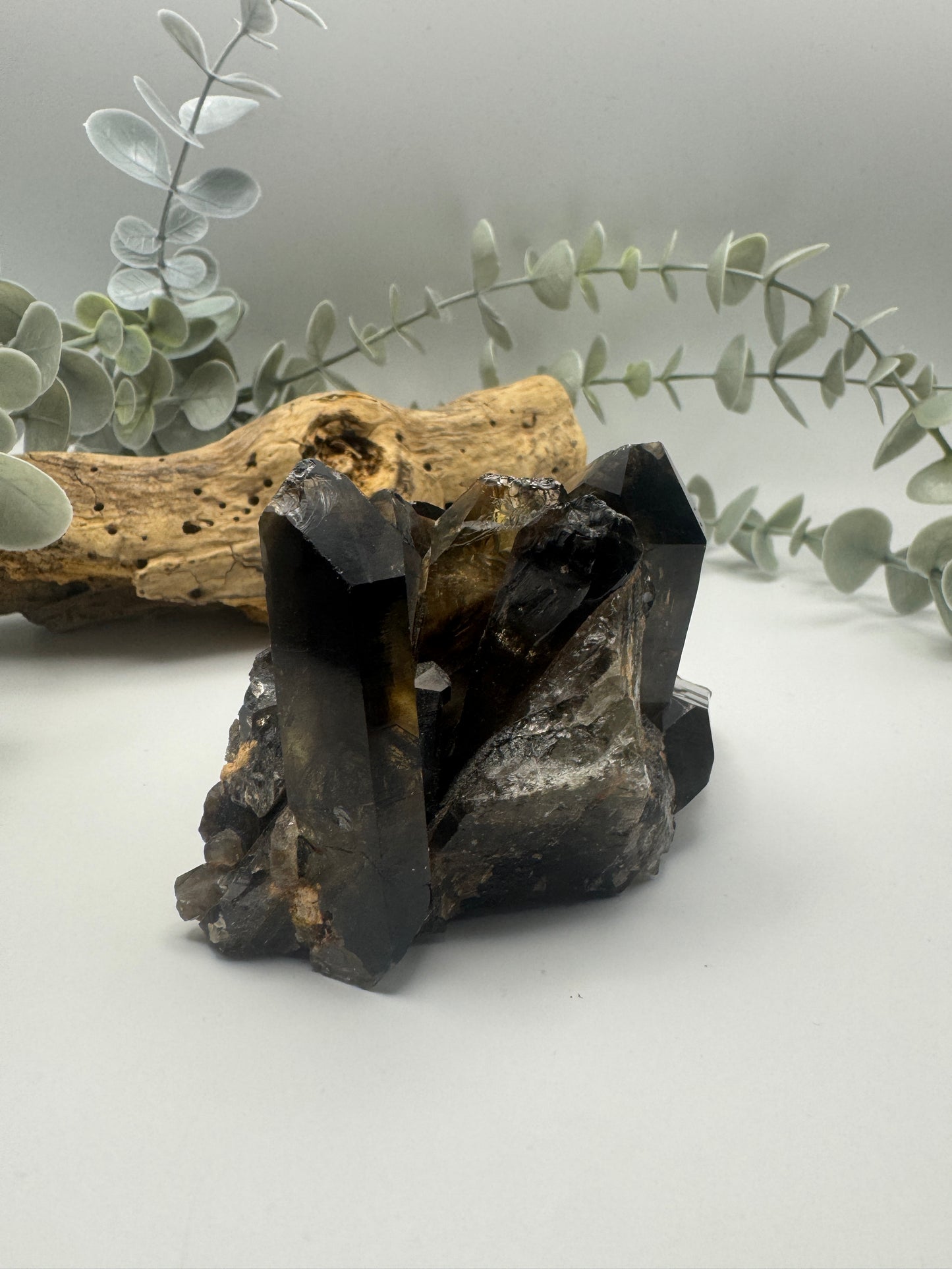 Smoky Quartz Cluster