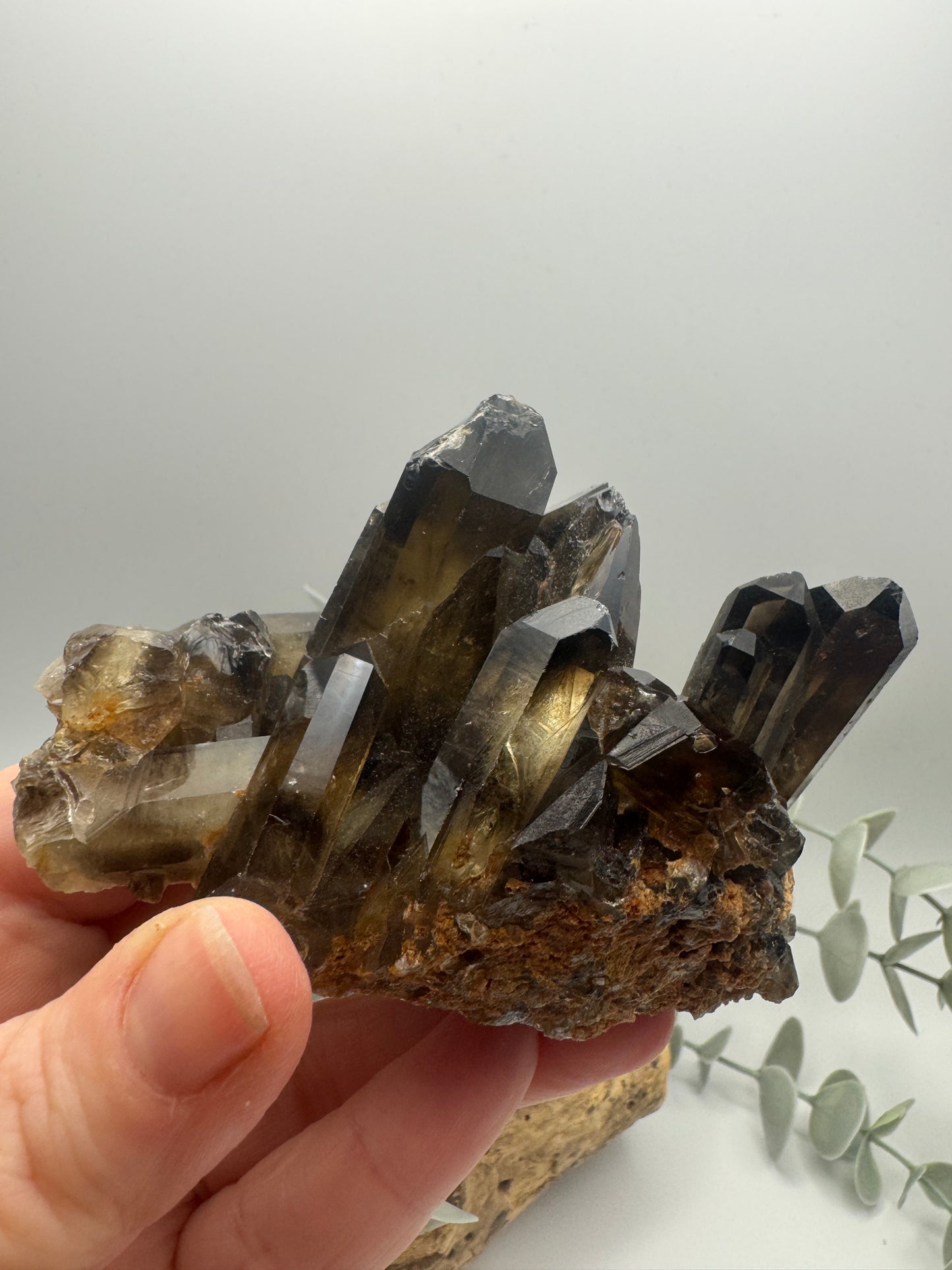 Smoky Quartz Cluster