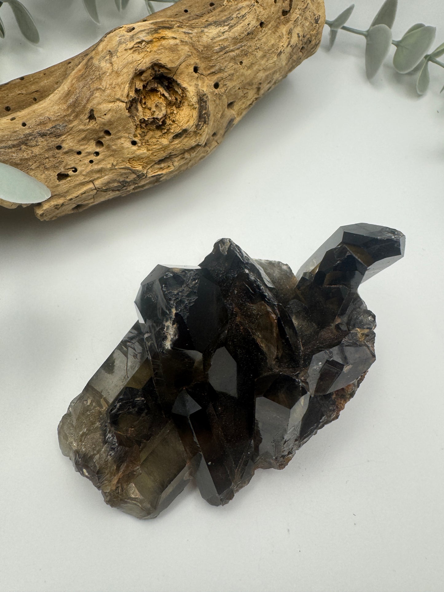 Smoky Quartz Cluster
