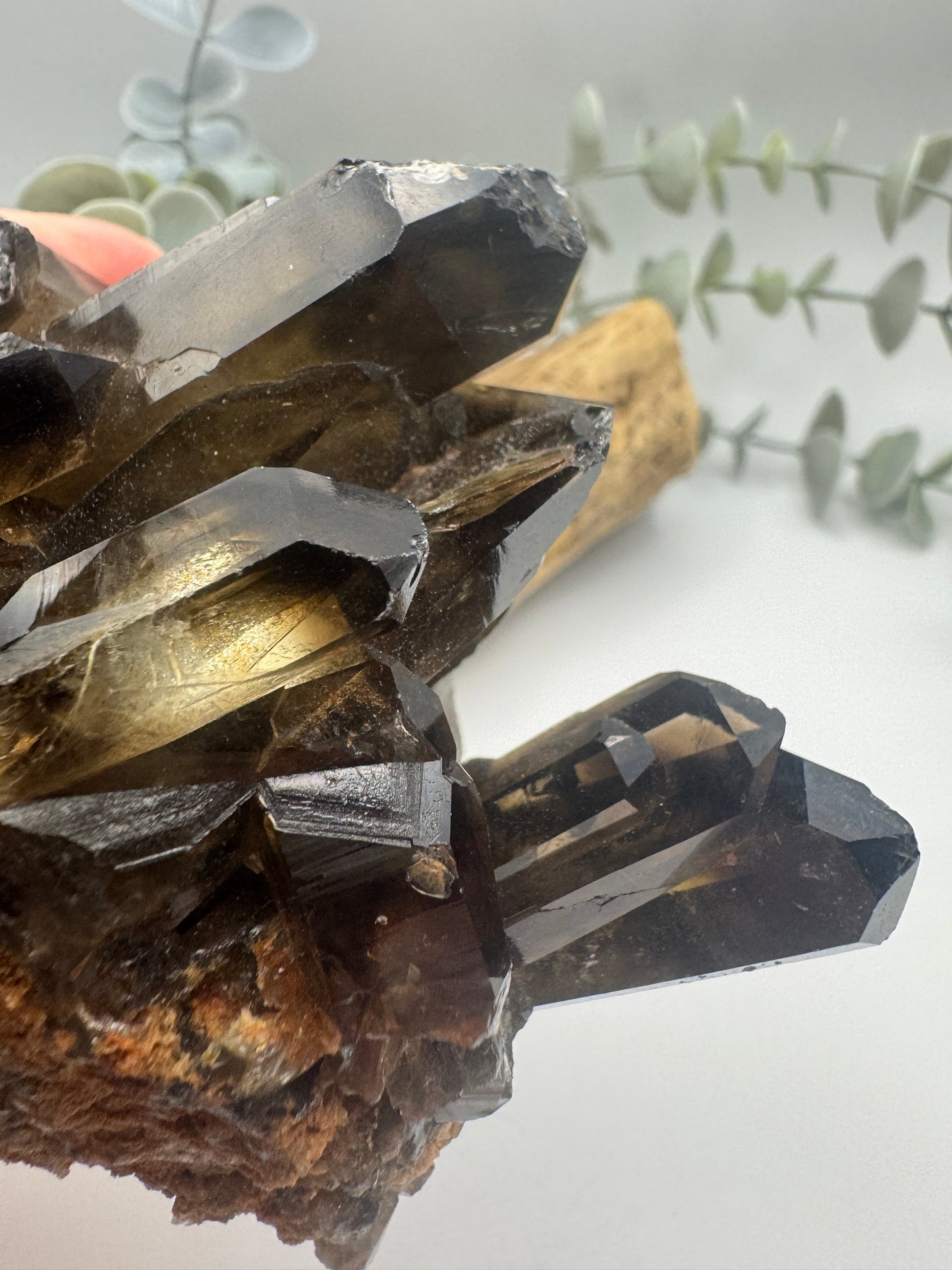 Smoky Quartz Cluster