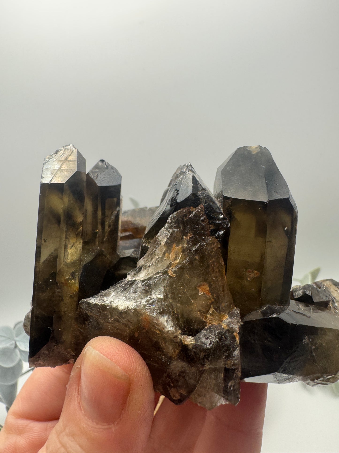 Smoky Quartz Cluster