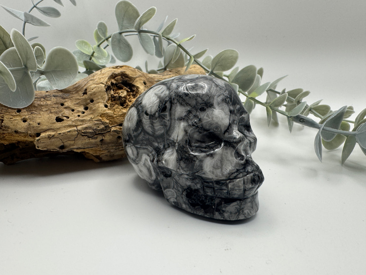 Crinoid Fossil Jasper Skull