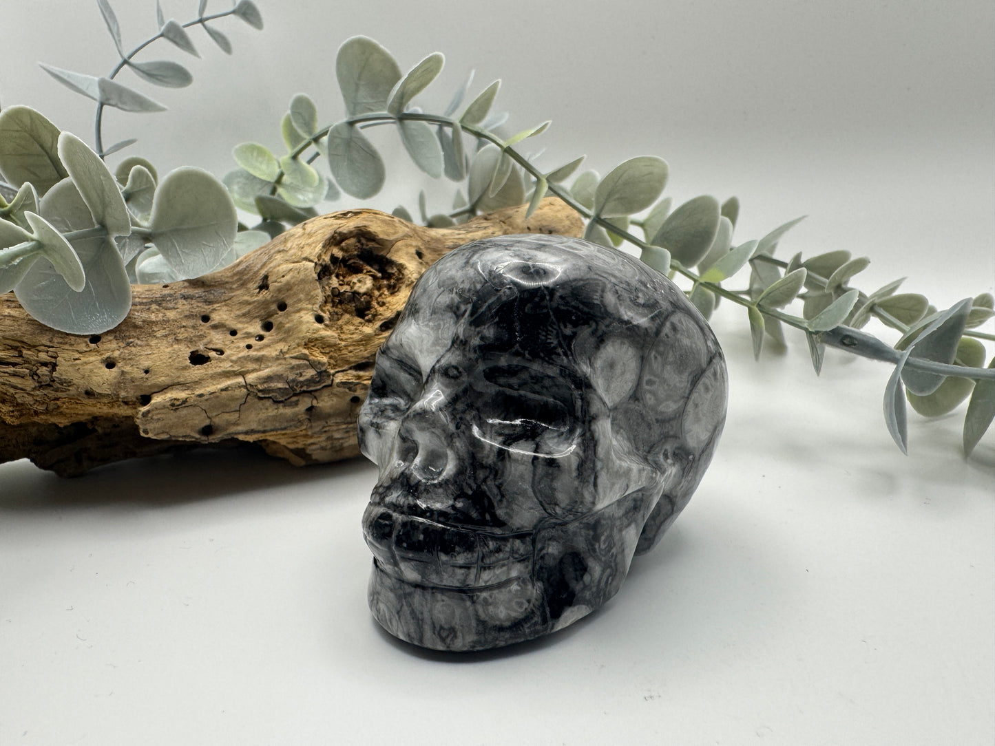 Crinoid Fossil Jasper Skull