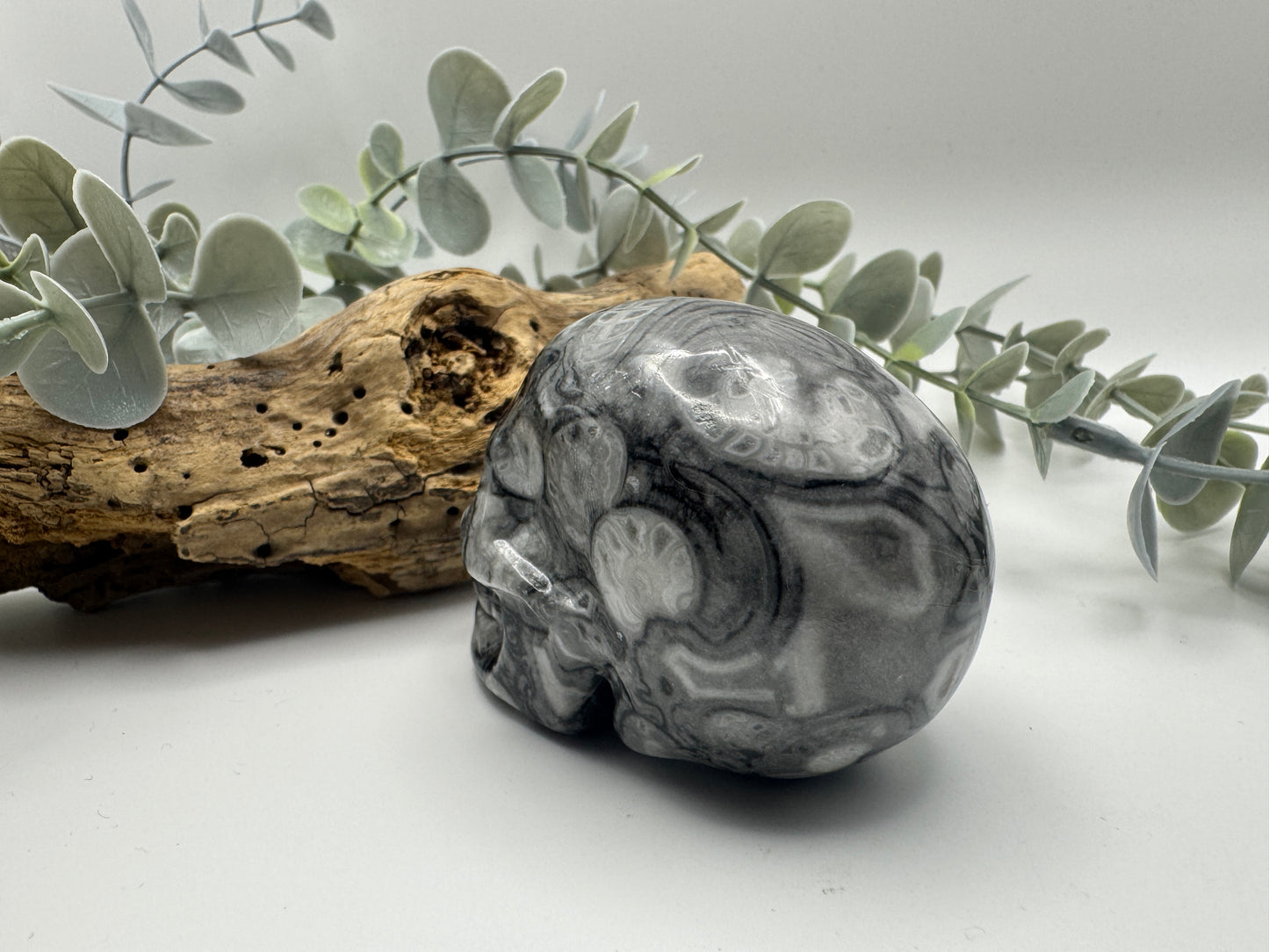 Crinoid Fossil Jasper Skull