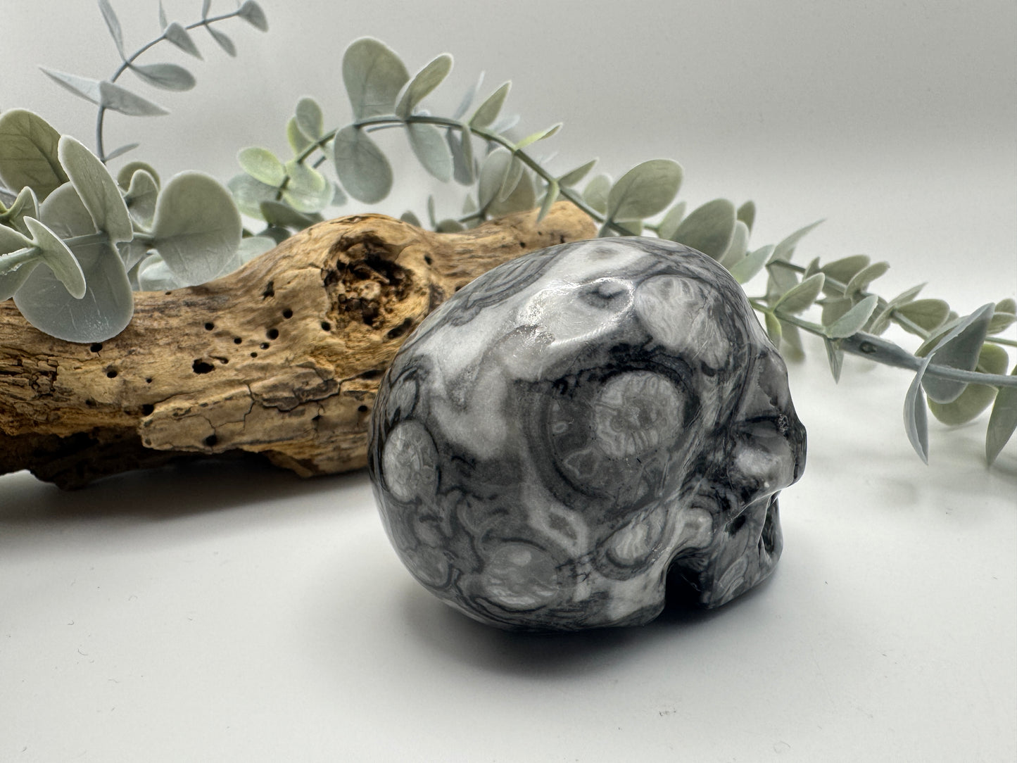 Crinoid Fossil Jasper Skull