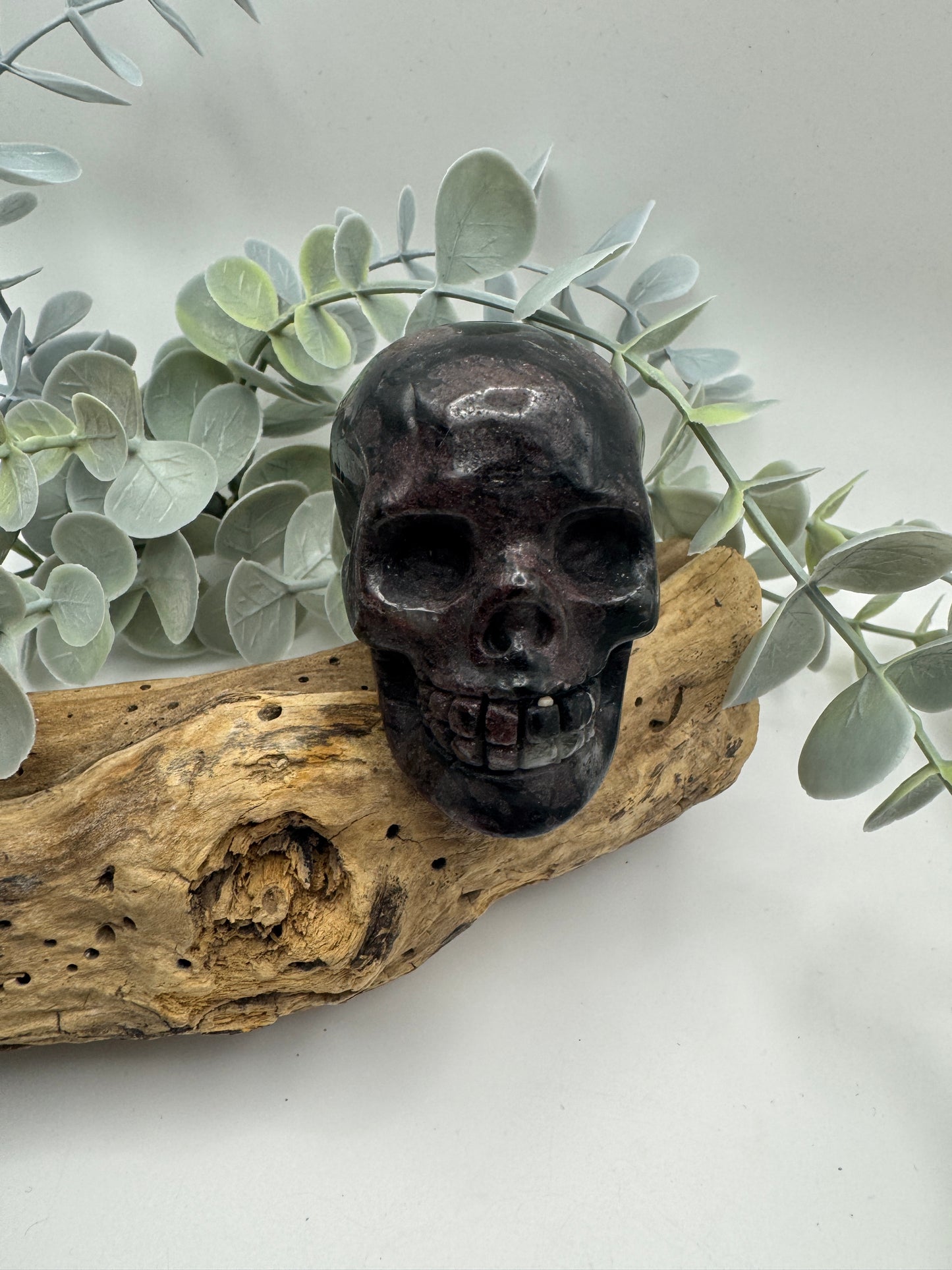 Arfvedsonite with Garnet Skull