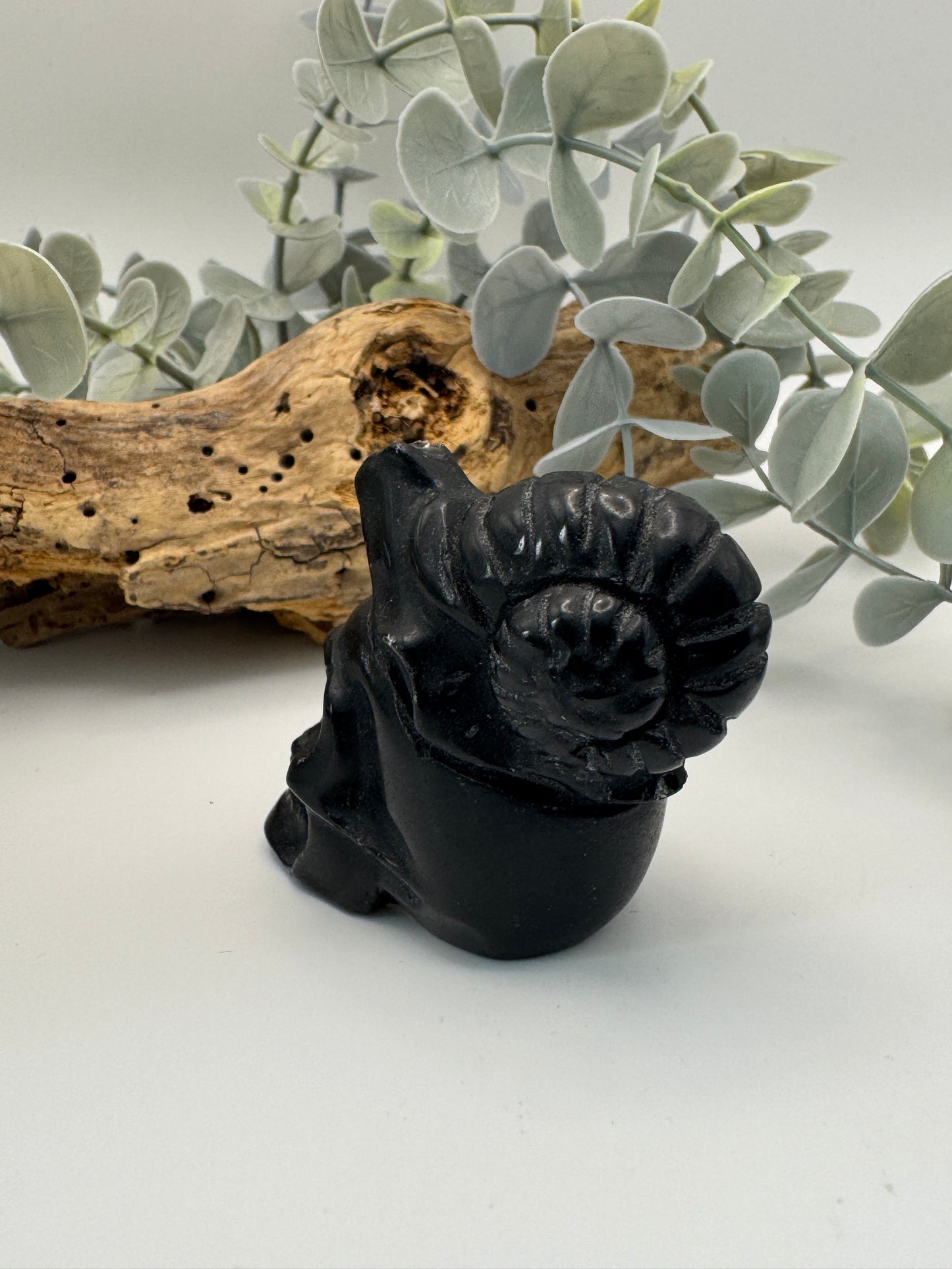 Obsidian Skull & Snail