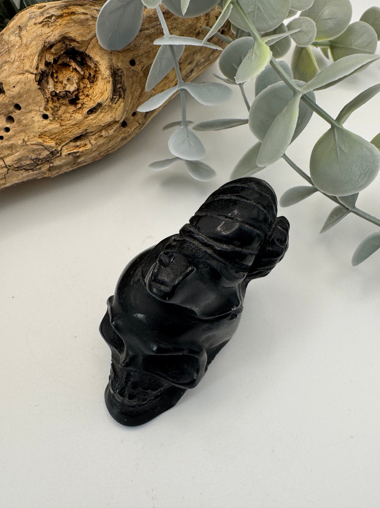 Obsidian Skull & Snail