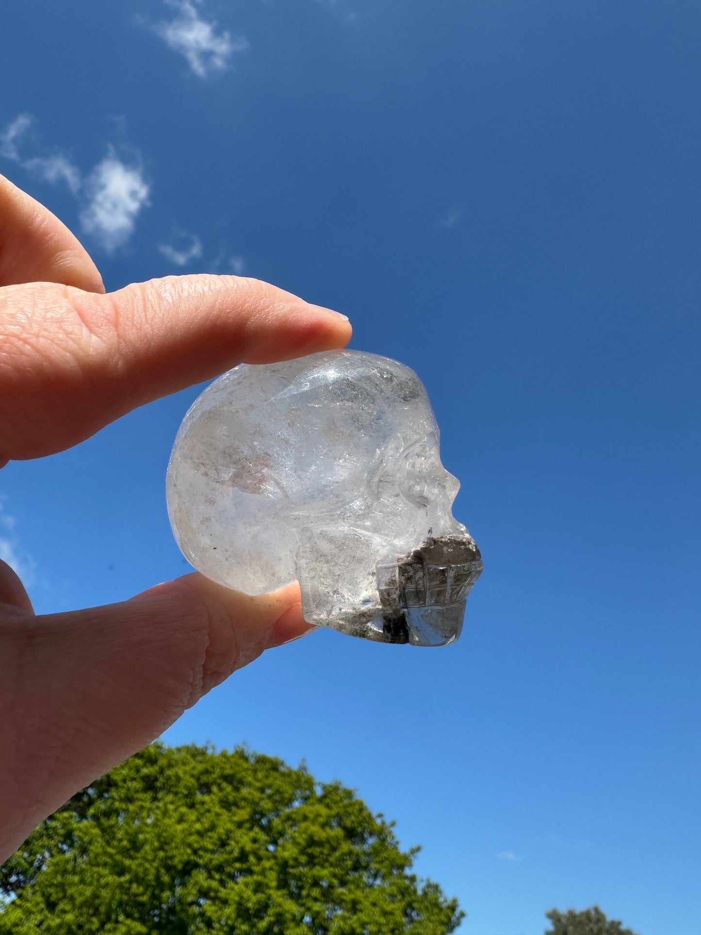 Garden Quartz Skull