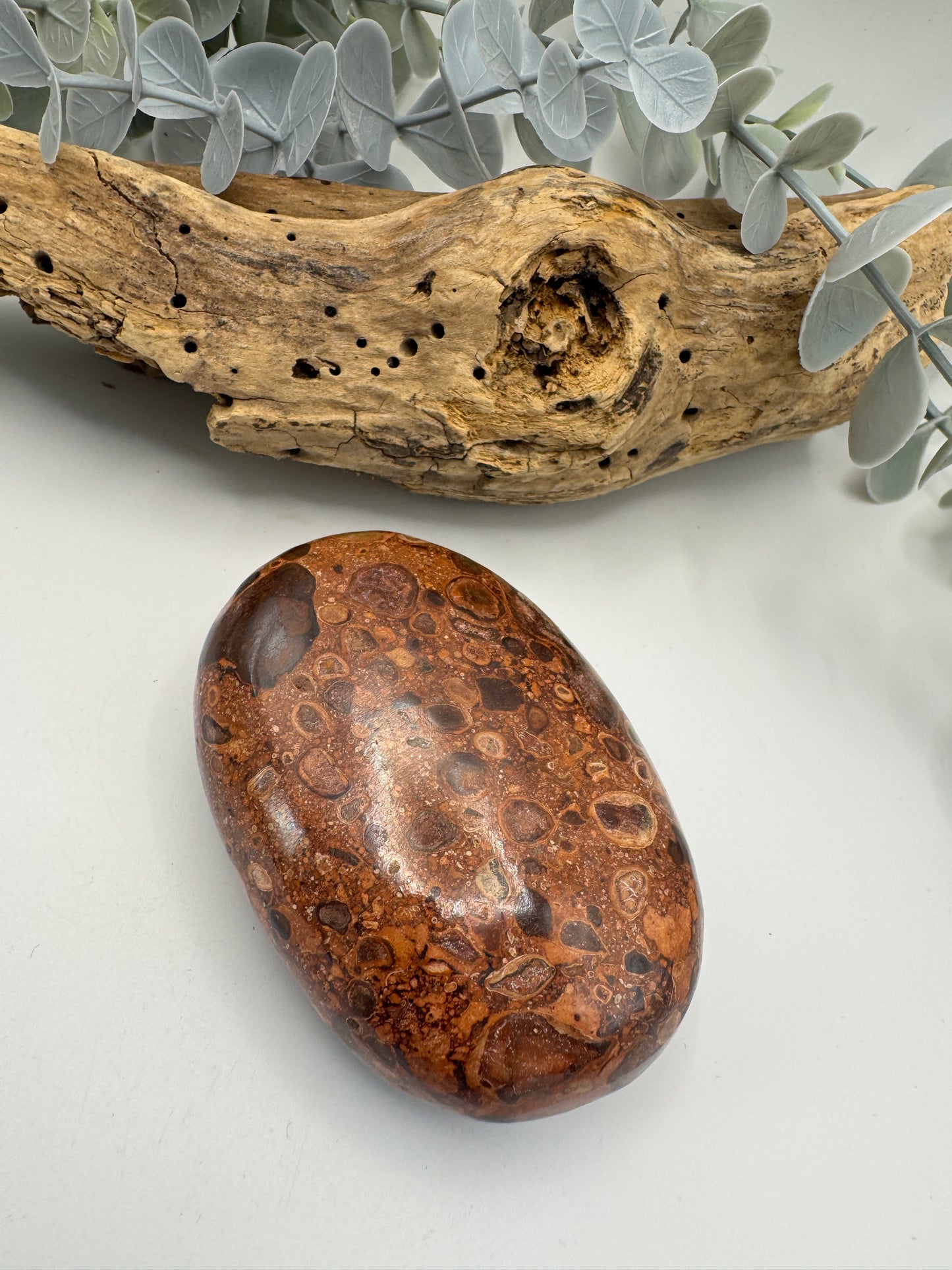 Leopard Skin Jasper Palm